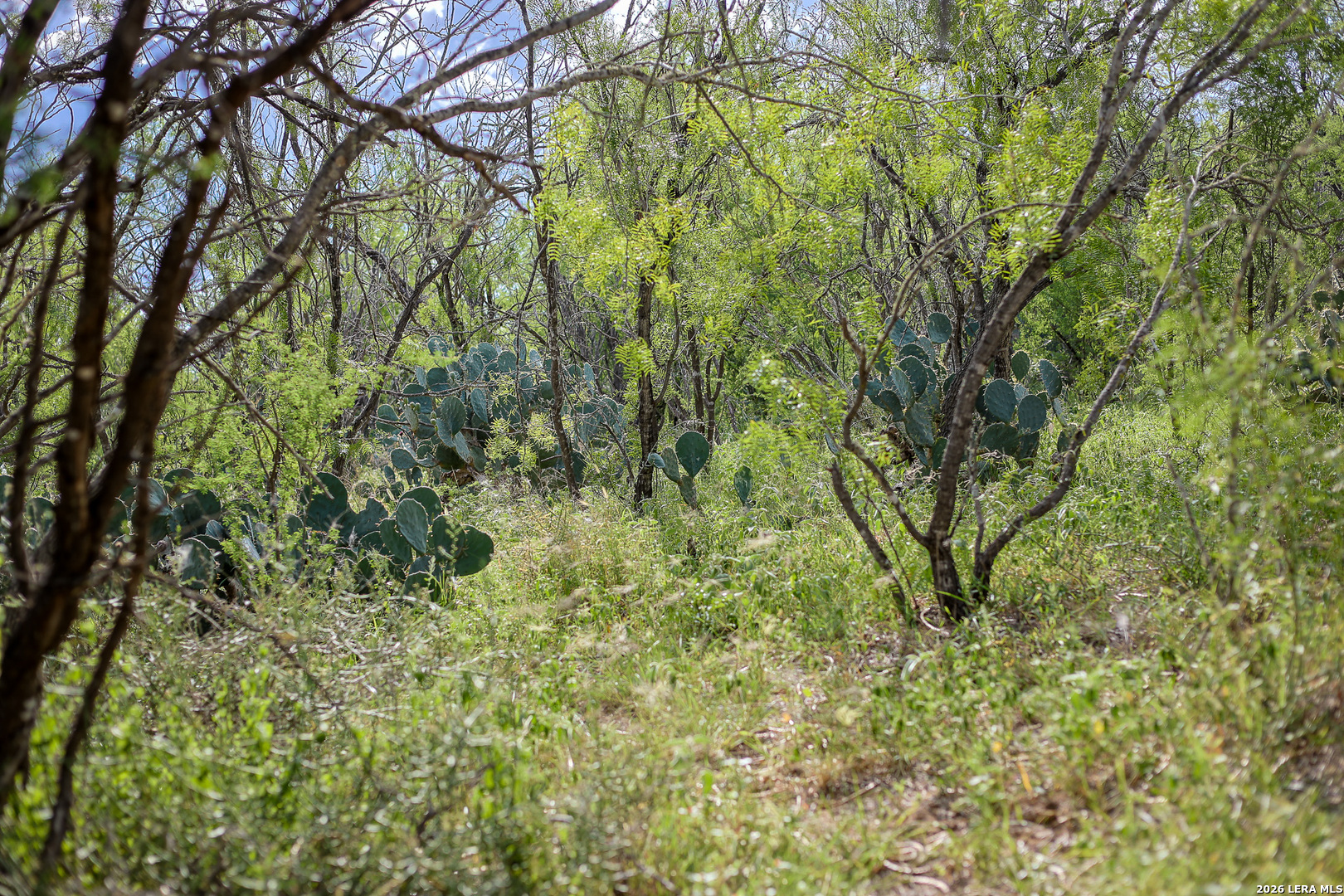 Bexar County | 461+/- Acres