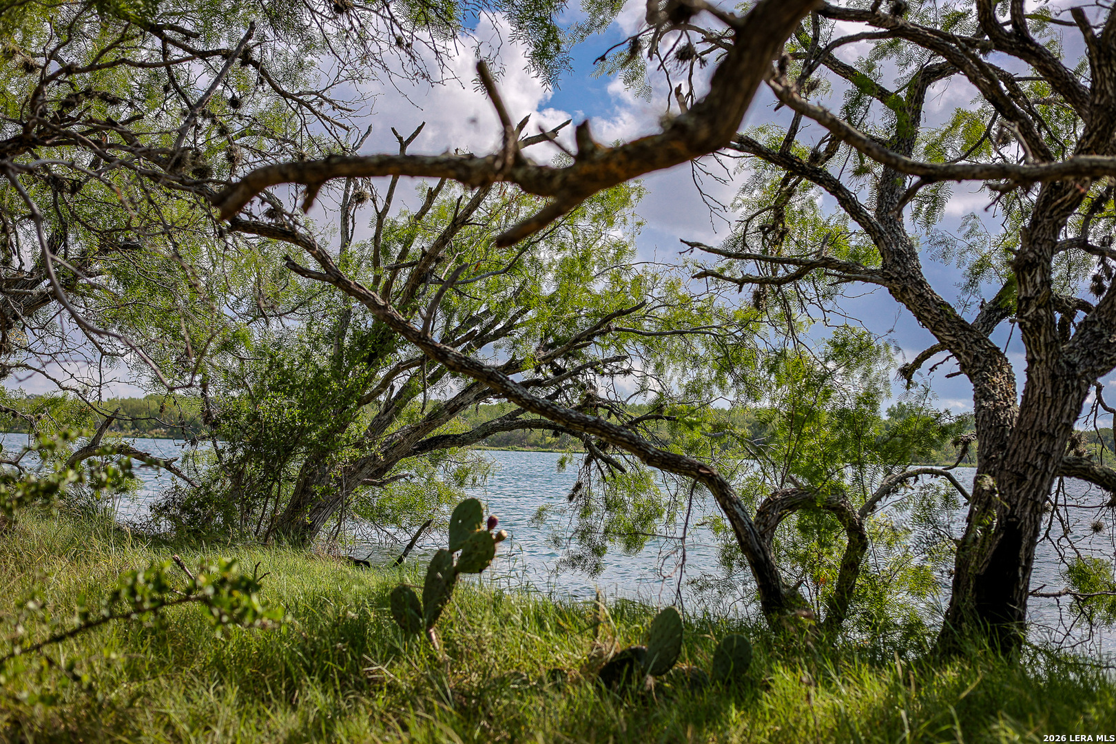 Bexar County | 461+/- Acres