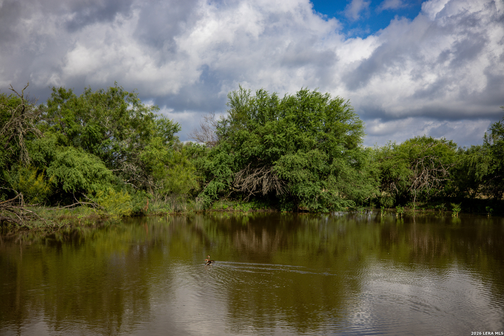 Bexar County | 461+/- Acres