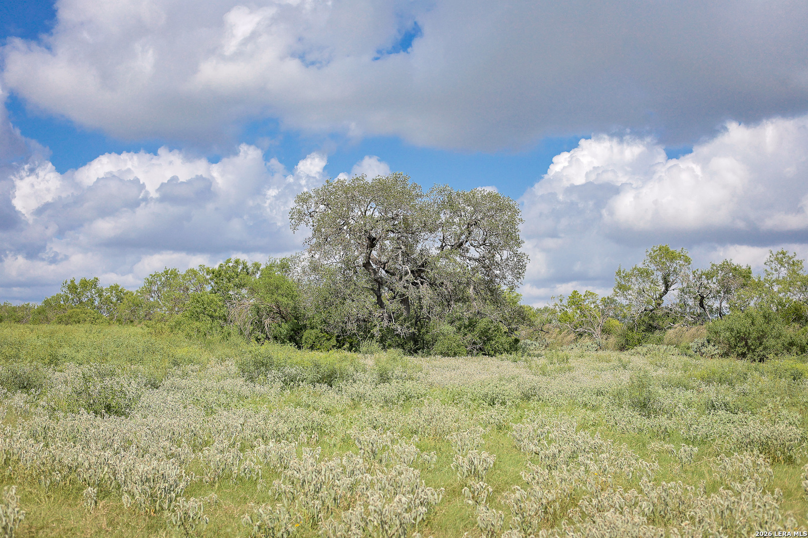 Bexar County | 461+/- Acres