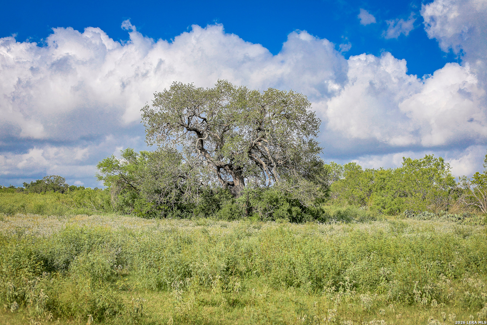 Bexar County | 461+/- Acres