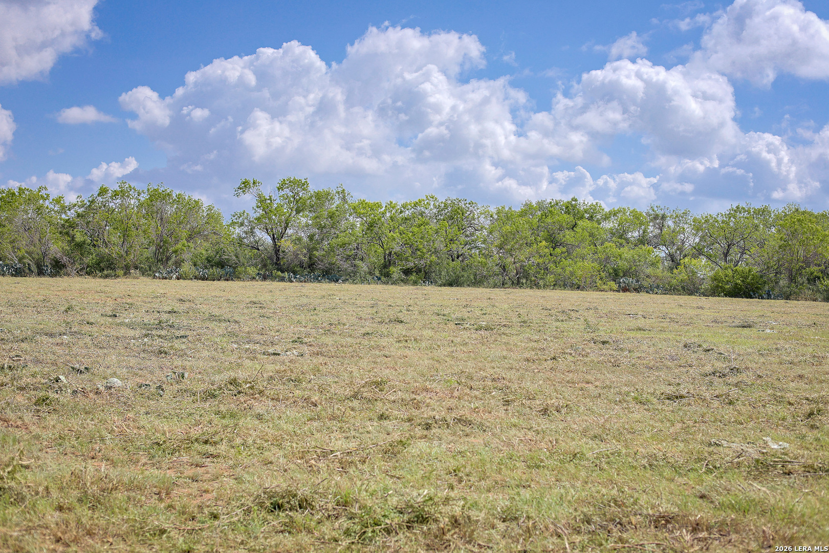 Bexar County | 461+/- Acres