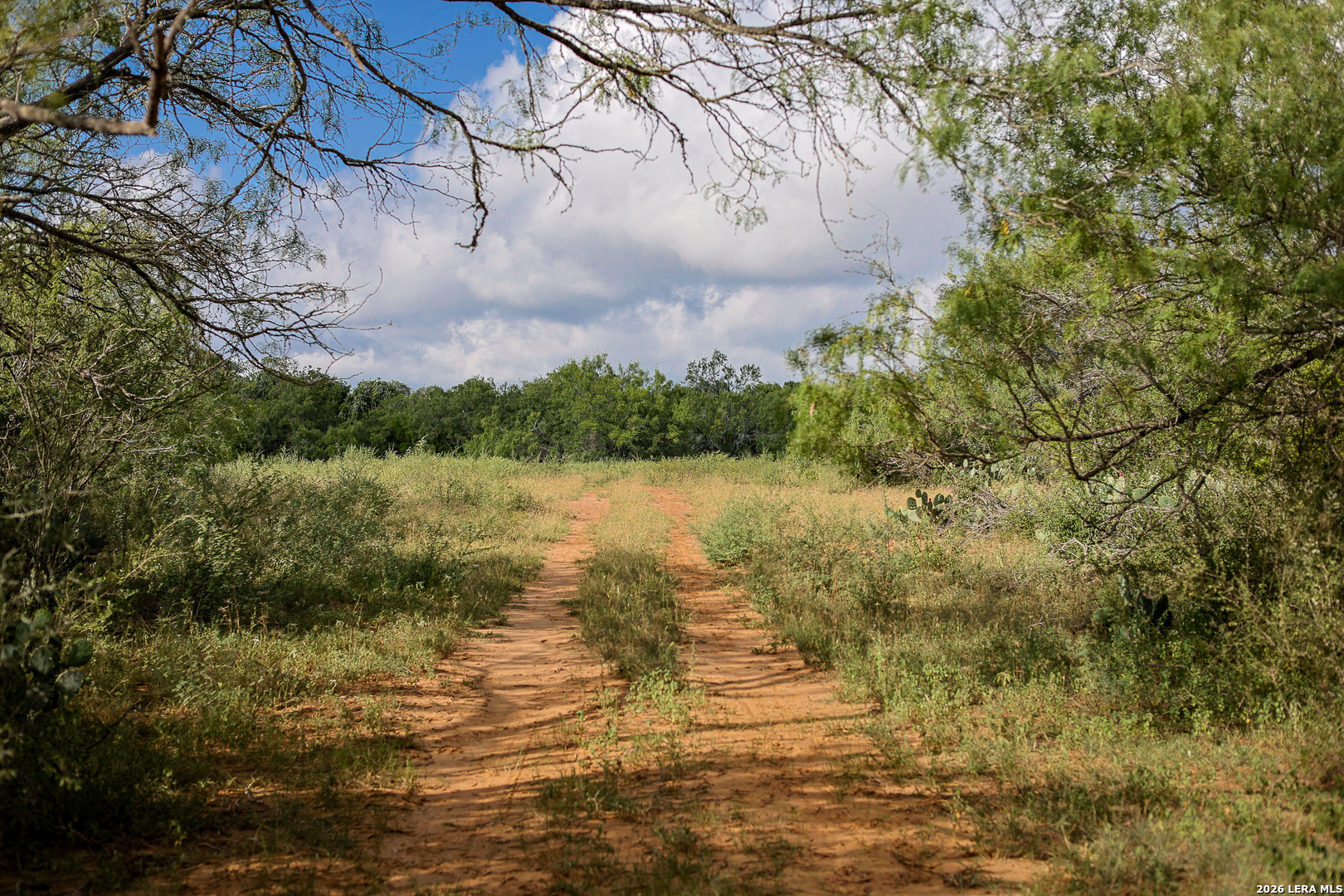 Bexar County | 461+/- Acres