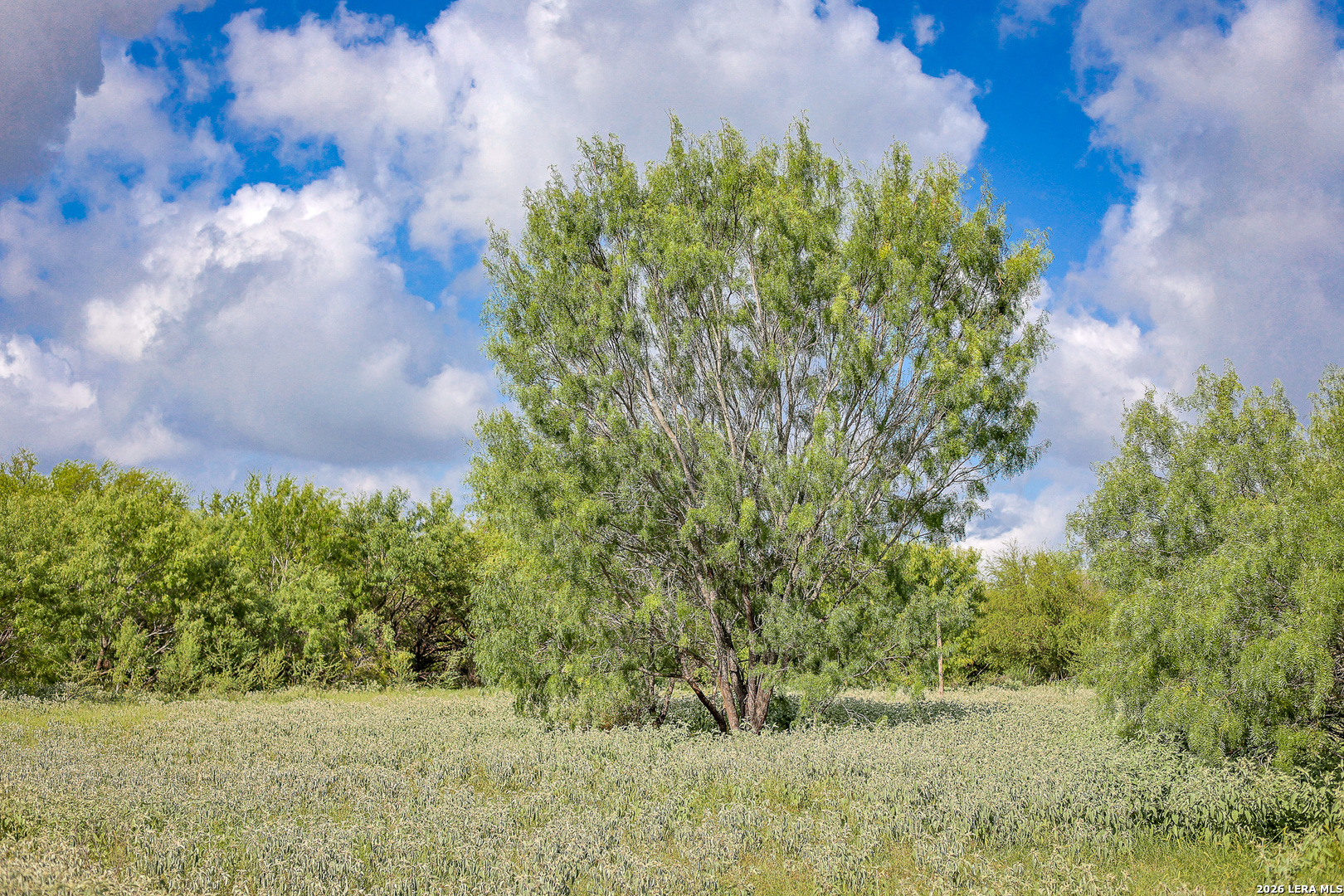Bexar County | 461+/- Acres