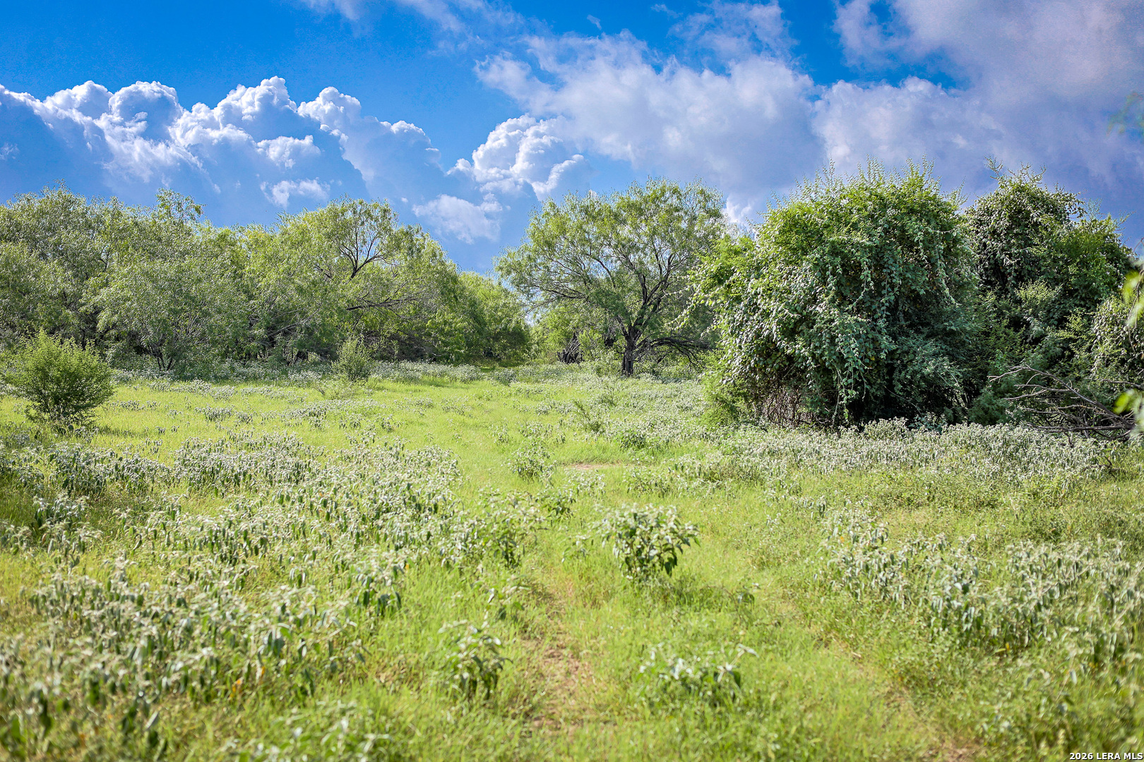 Bexar County | 461+/- Acres