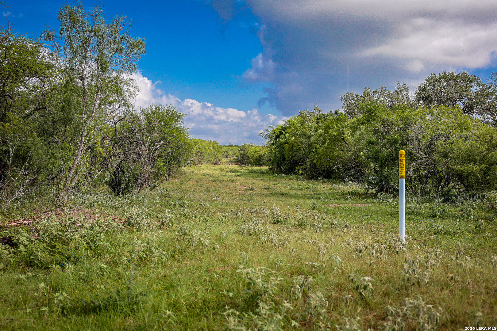 Bexar County | 461+/- Acres