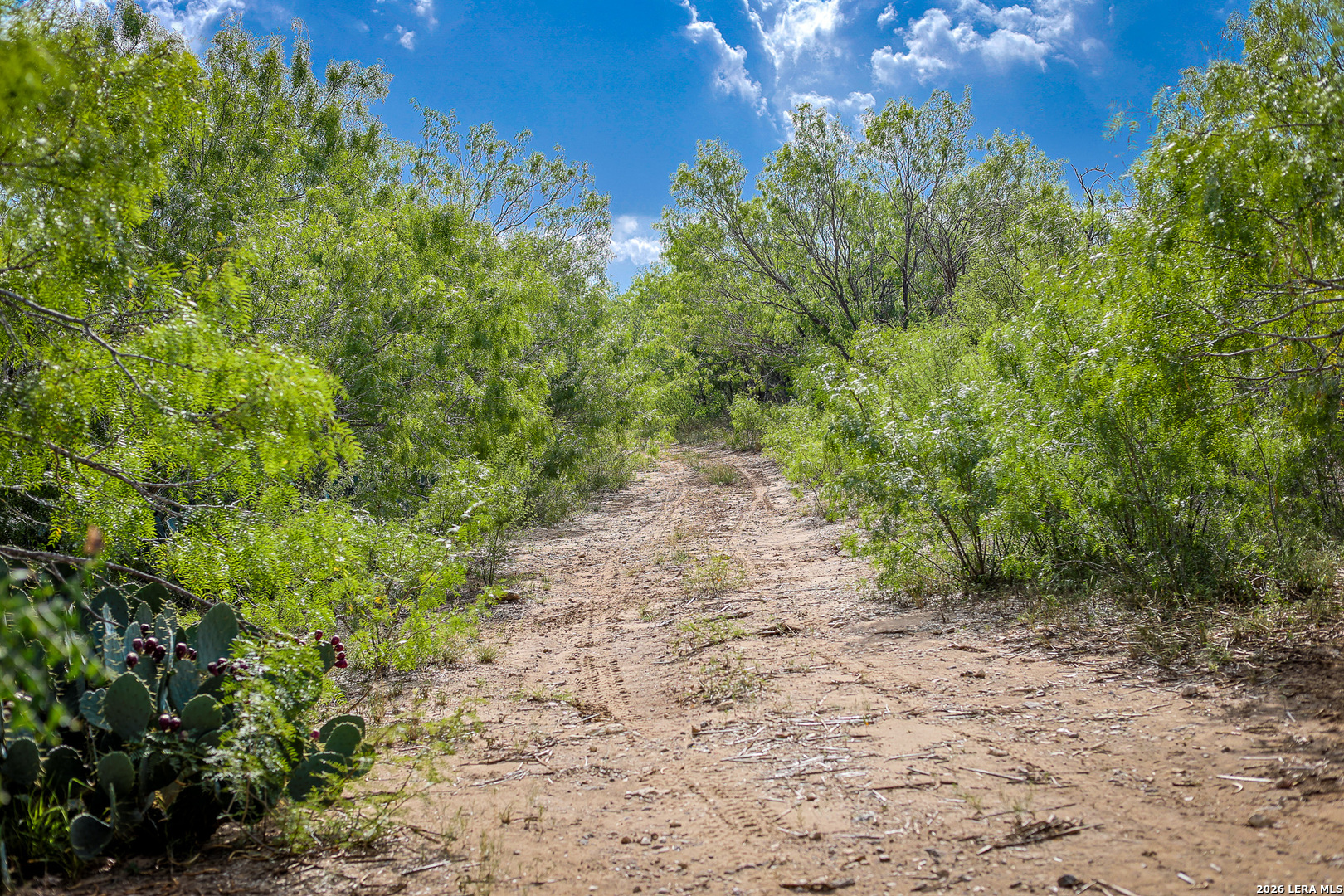 Bexar County | 461+/- Acres