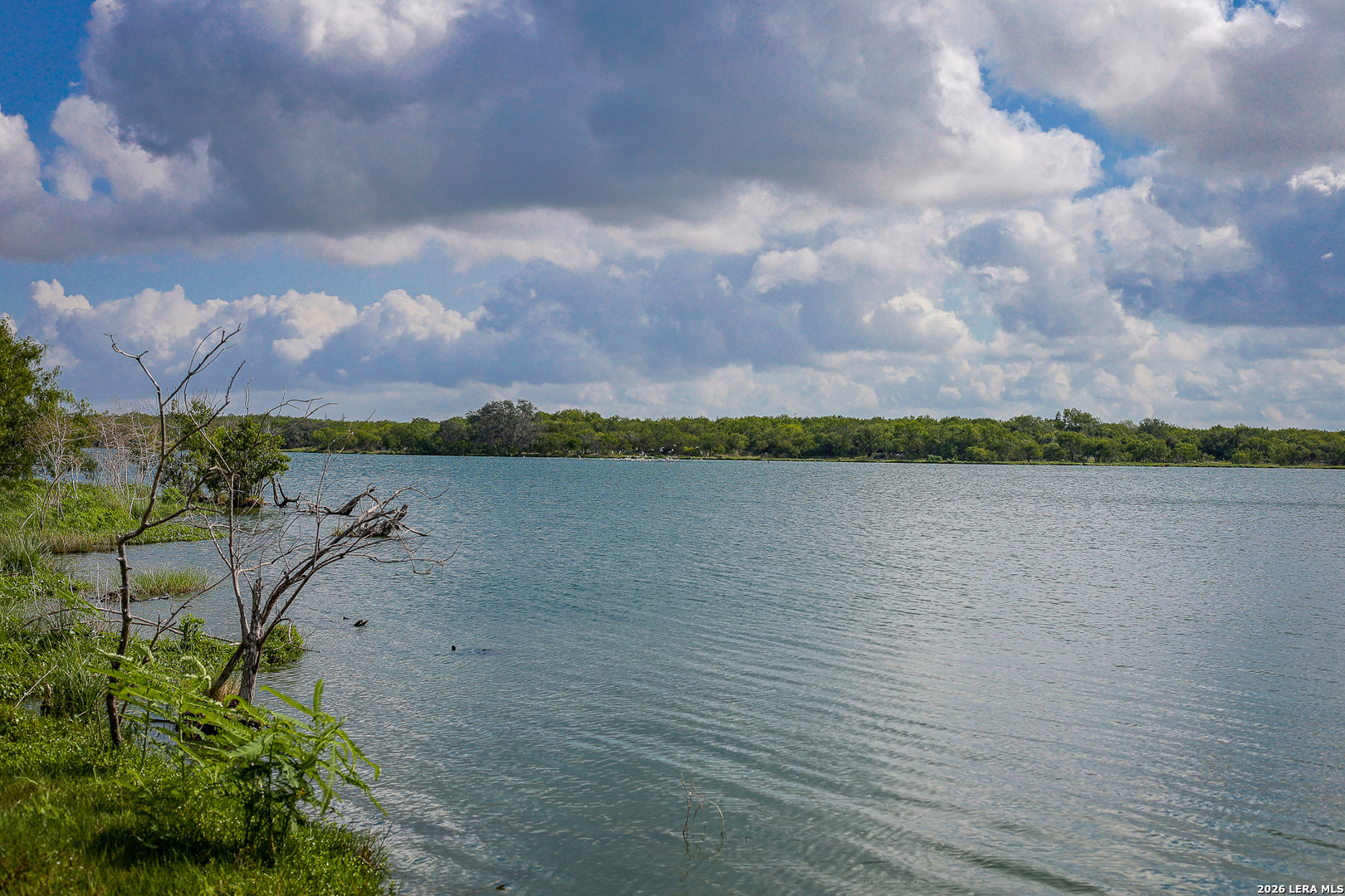 Bexar County | 461+/- Acres