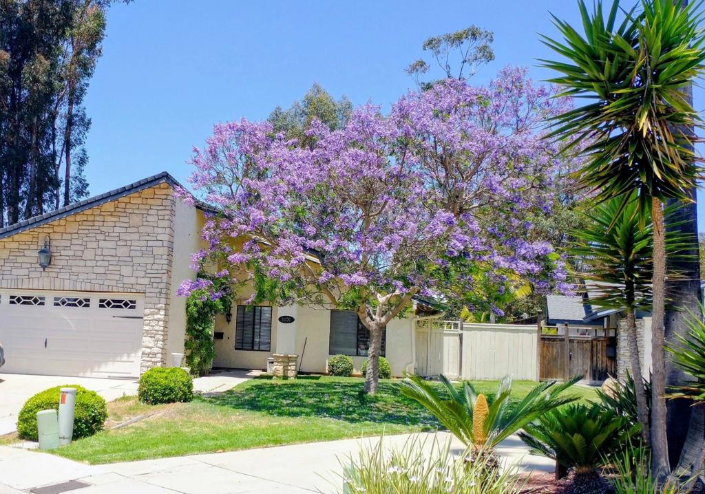 11330 Vista La Cuesta Dr