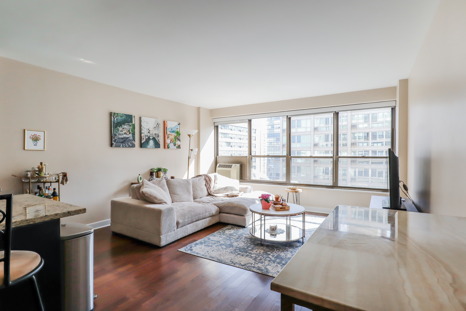 2930 N Sheridan Road Unit: 1109