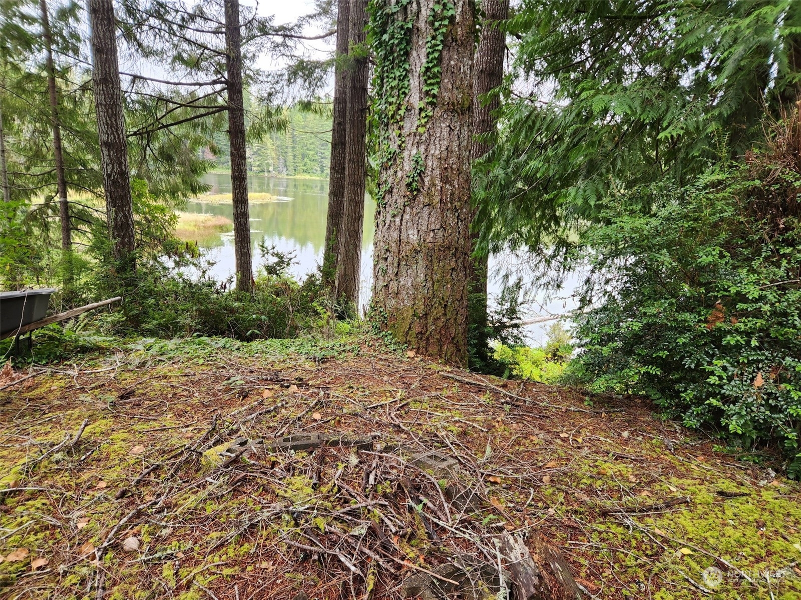 0 xxx NE Lake Christine Road