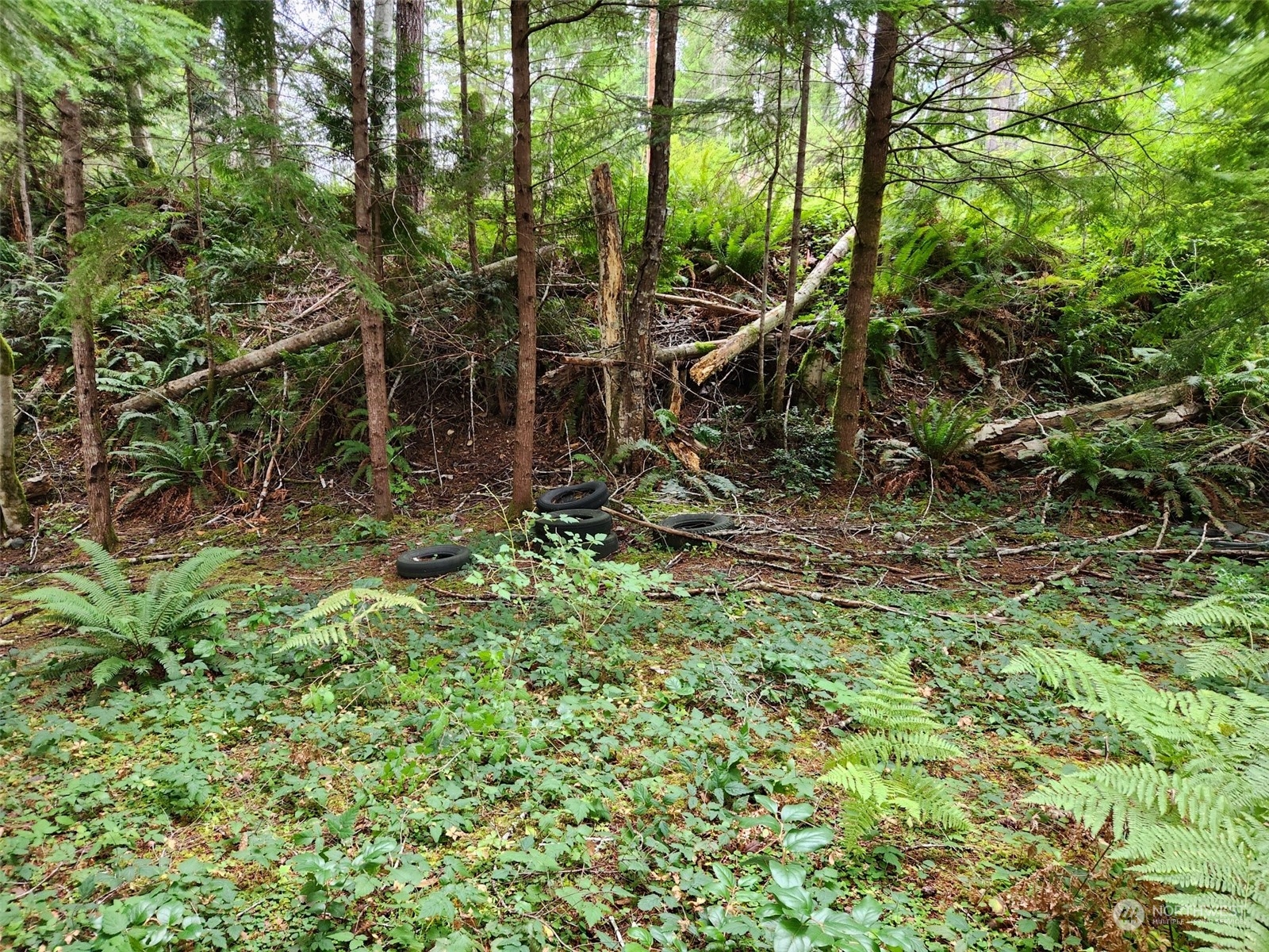 0 xxx NE Lake Christine Road