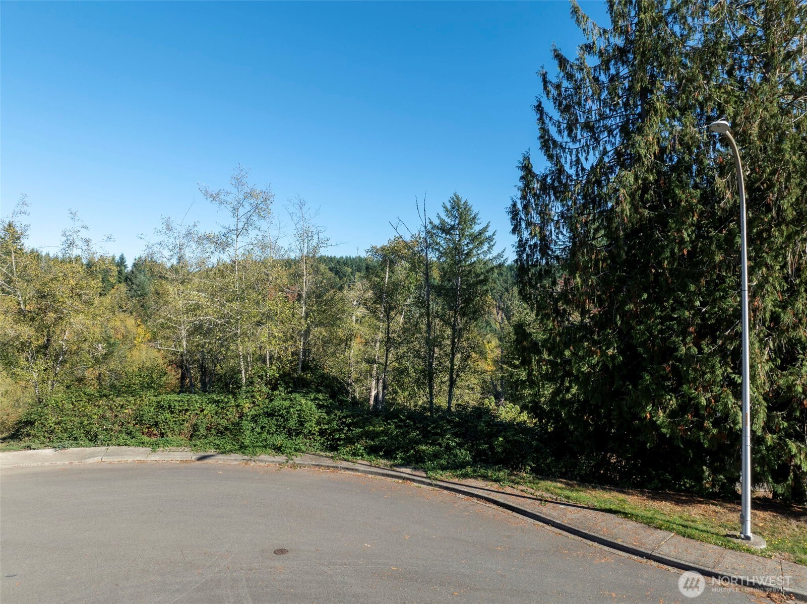 1700 Maple Valley Drive