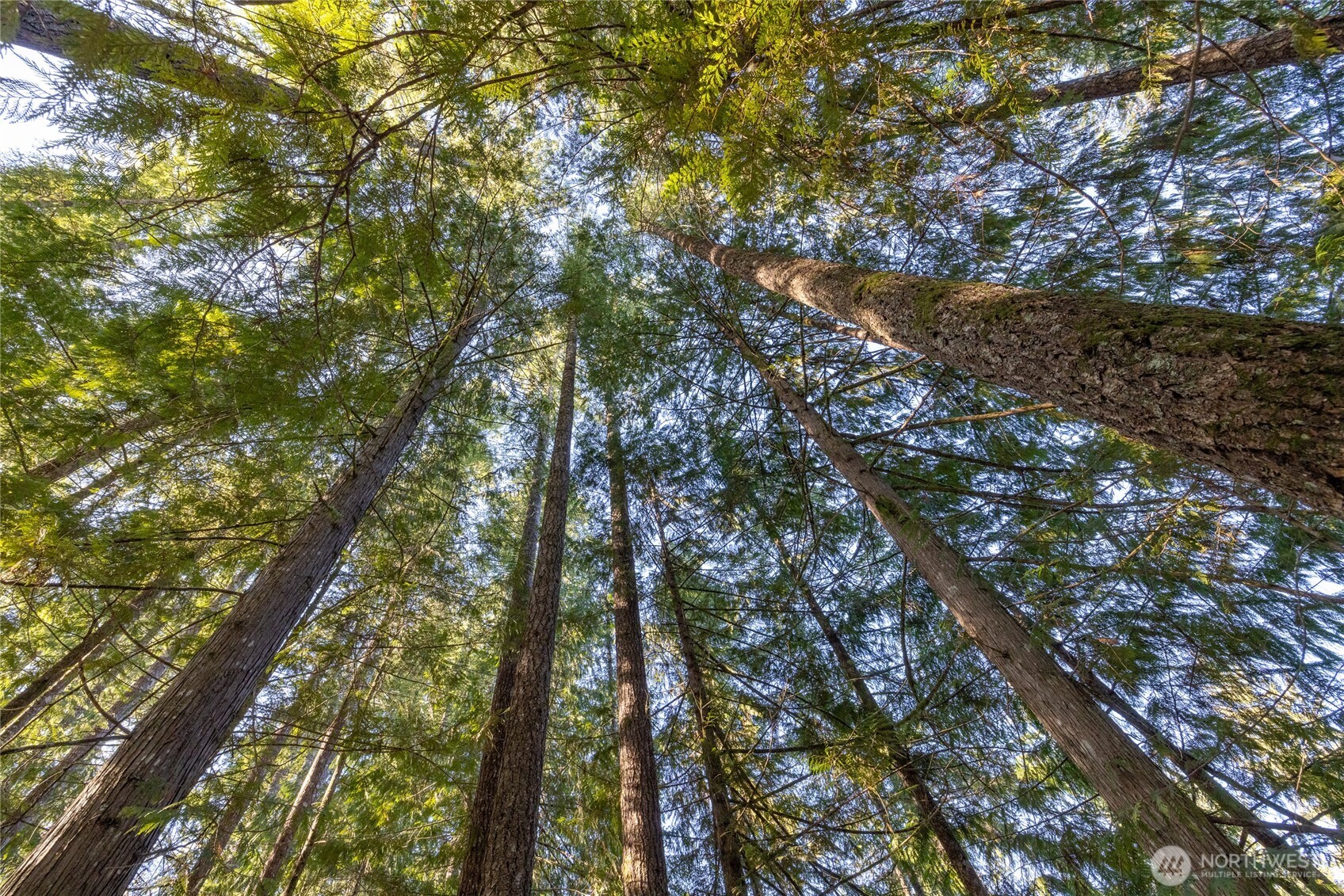 0 Firestation Avenue NW