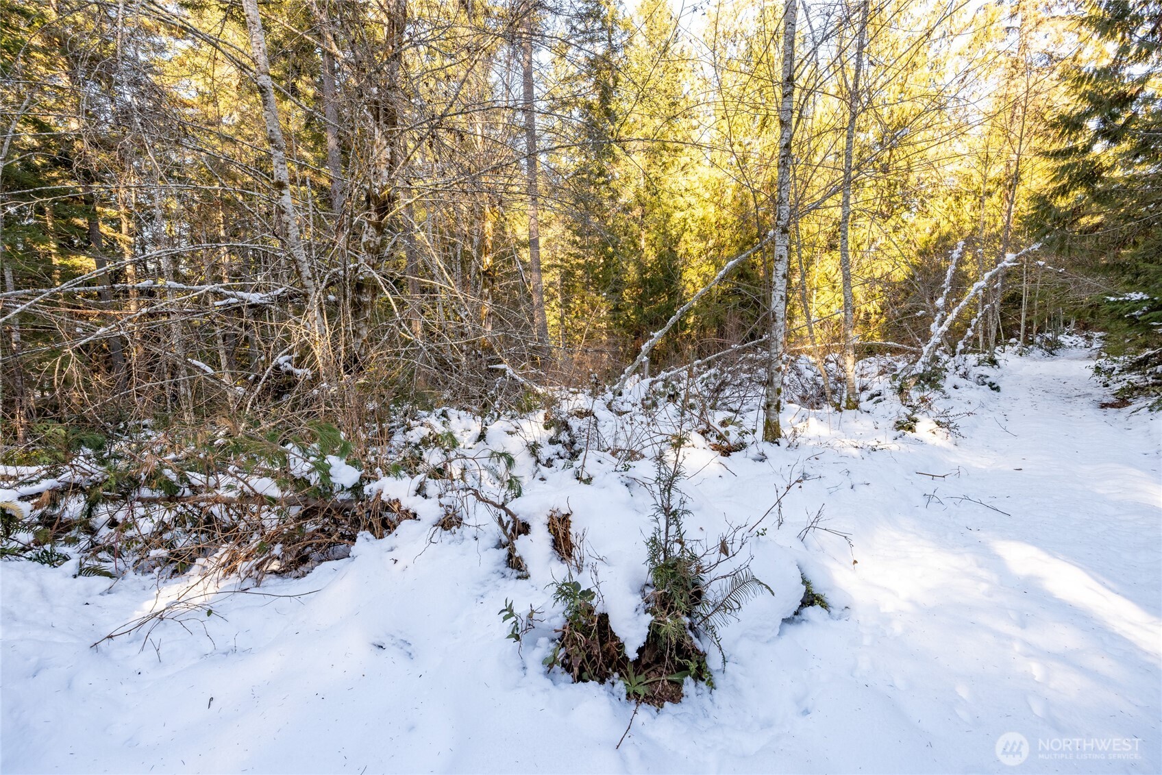 0 Firestation Avenue NW