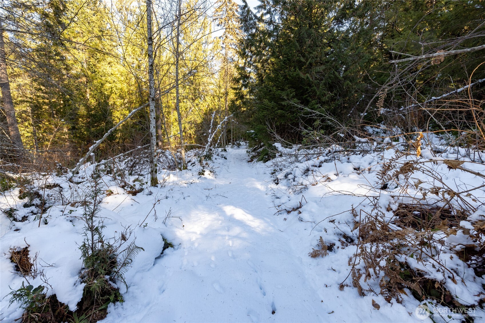 0 Firestation Avenue NW