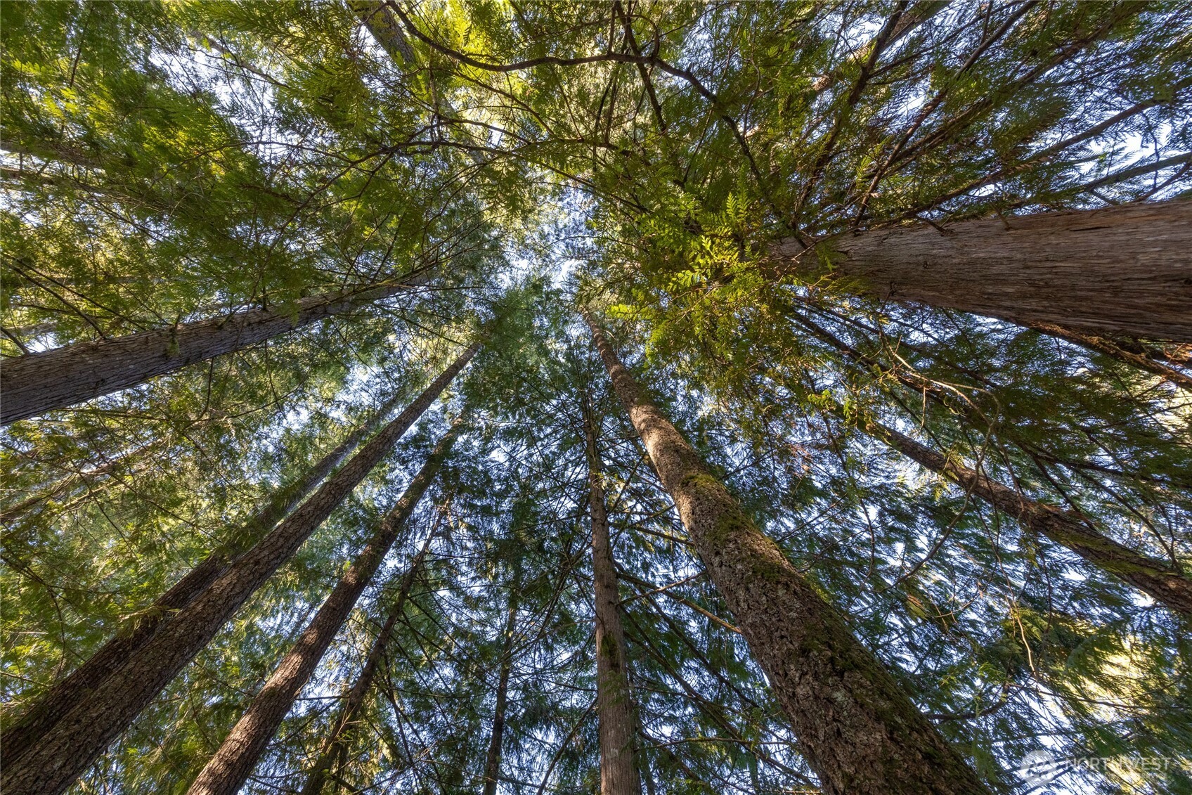 0 Firestation Avenue NW