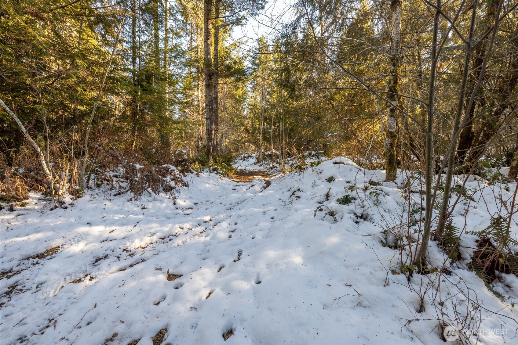 0 Firestation Avenue NW