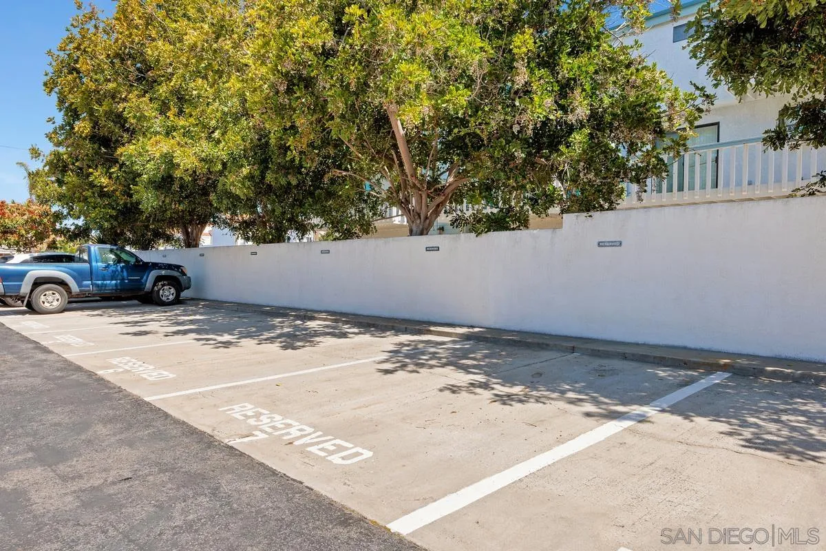 317 Pine Ave Unit 204