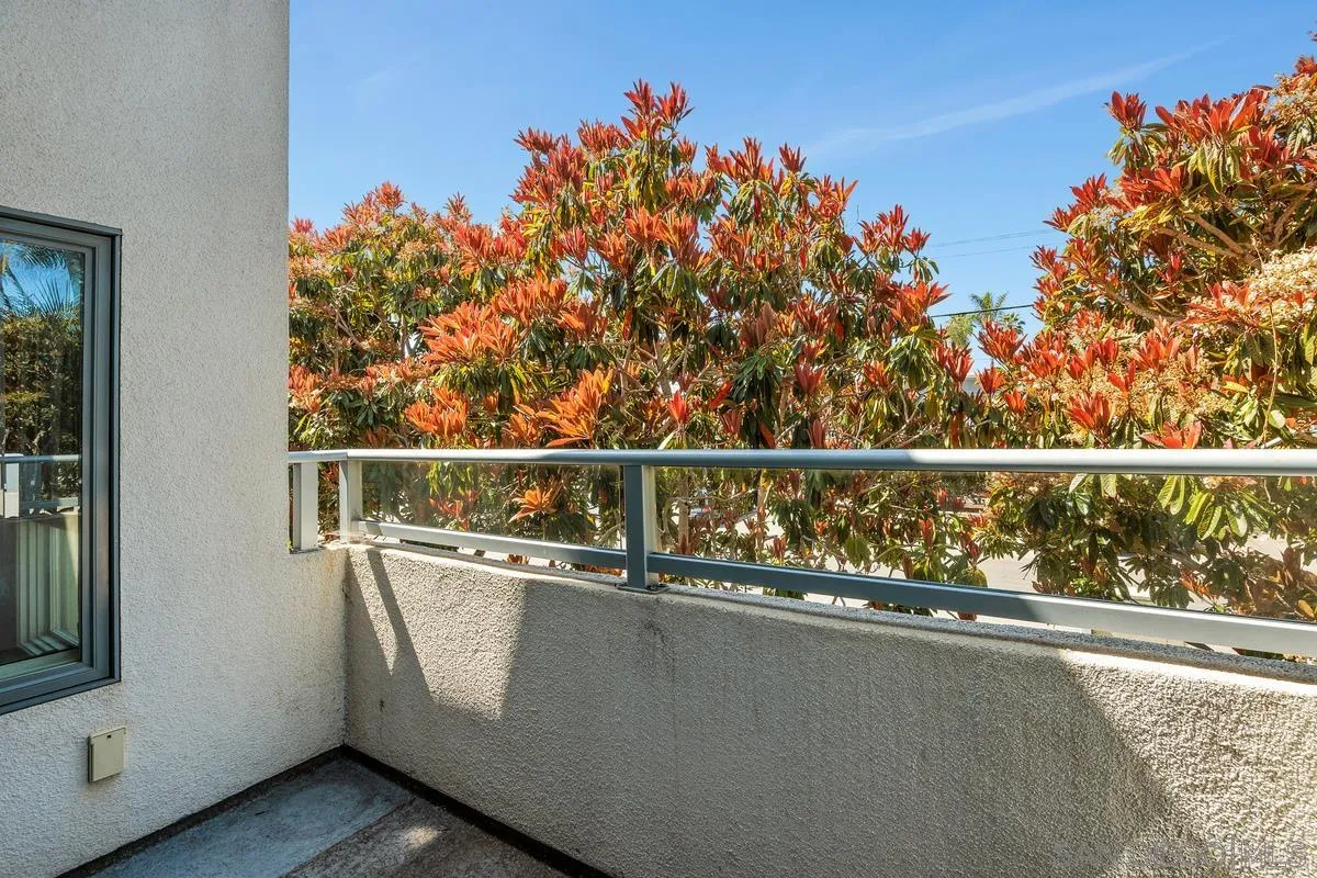 317 Pine Ave Unit 204