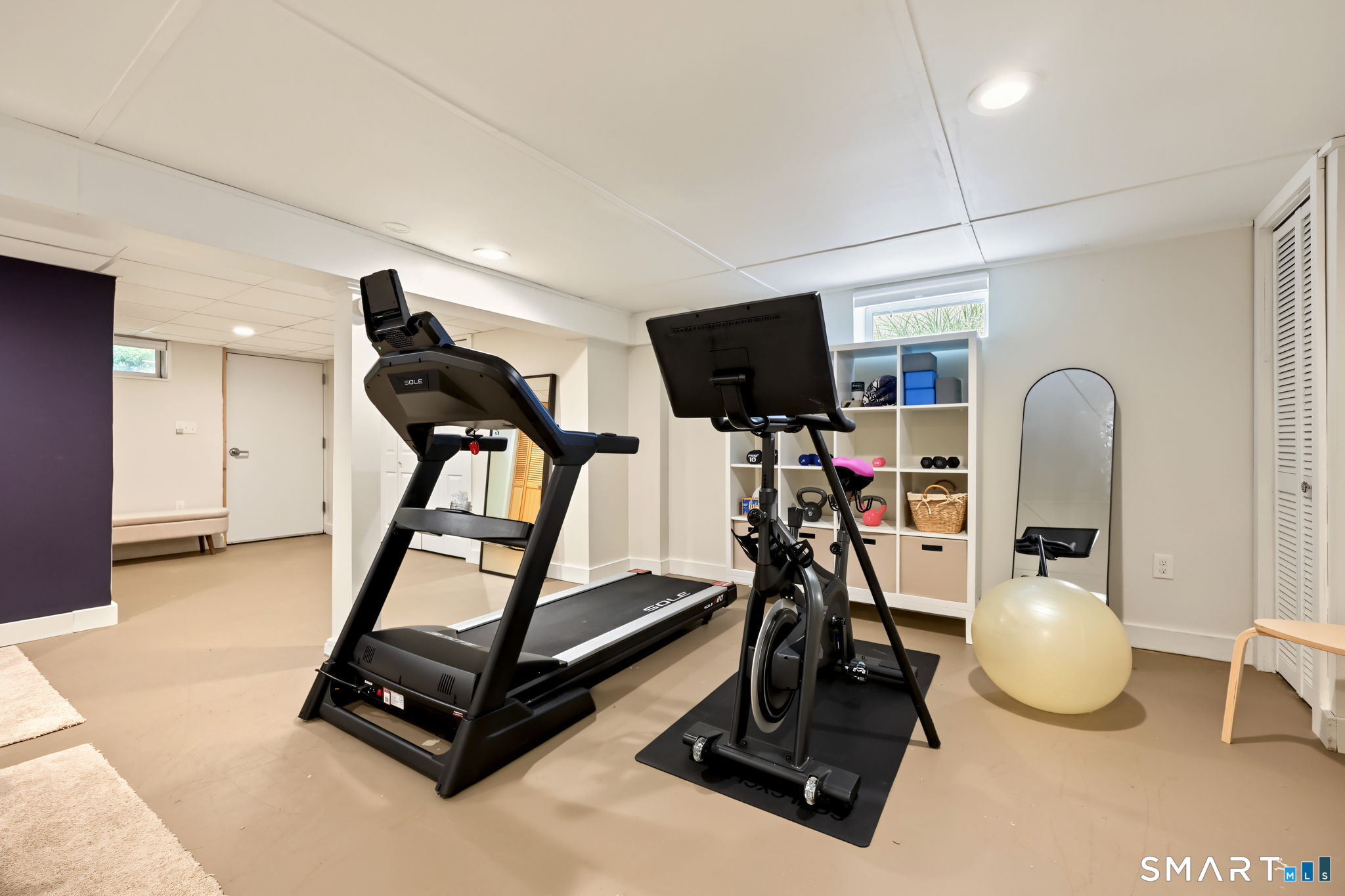 Basement home gym with a treadmill, stationary bike, exercise ball, and shelves of fitness equipment.