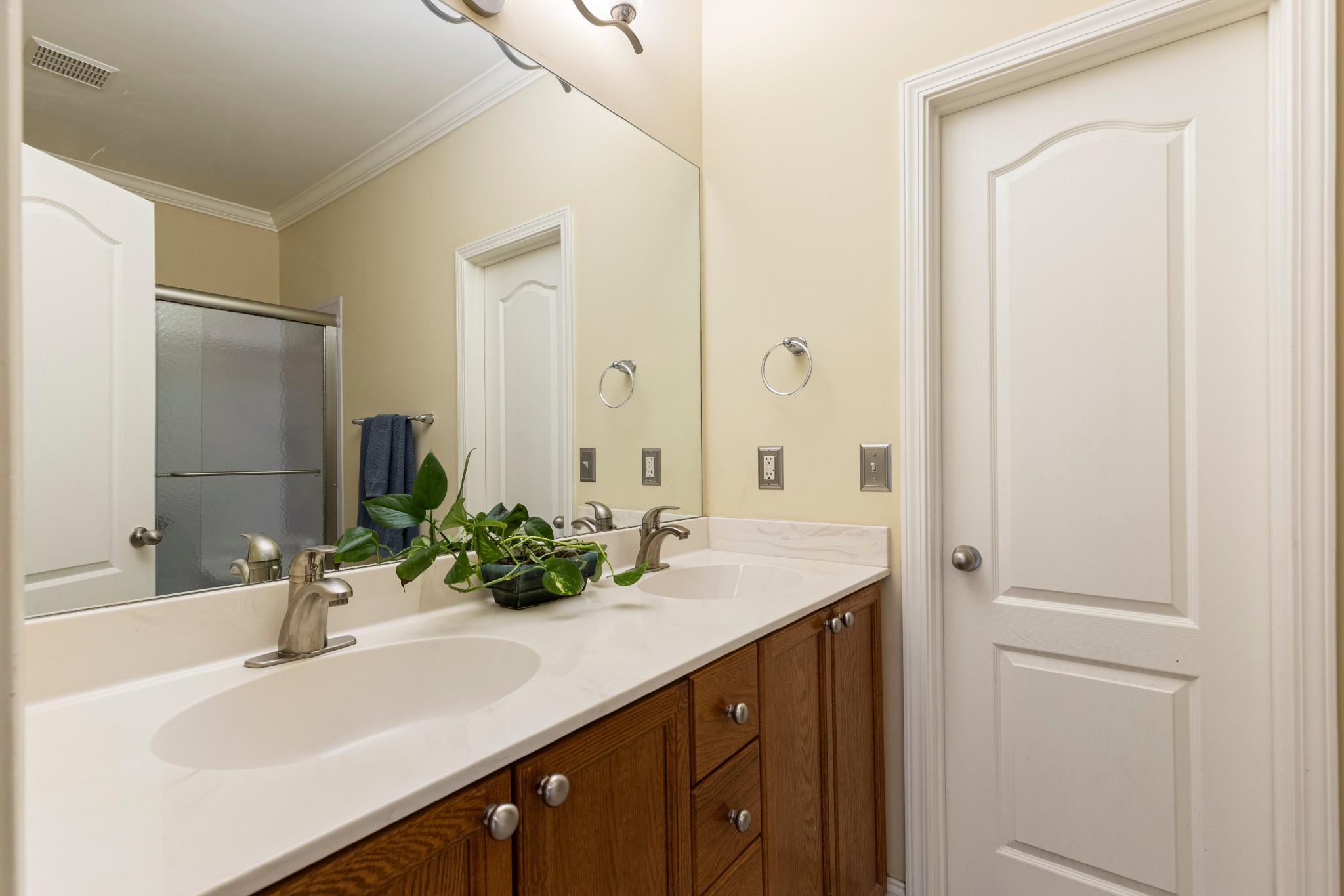Bathroom vanity with two sinks, dark wood cabinets, a large mirror, and a potted plant.