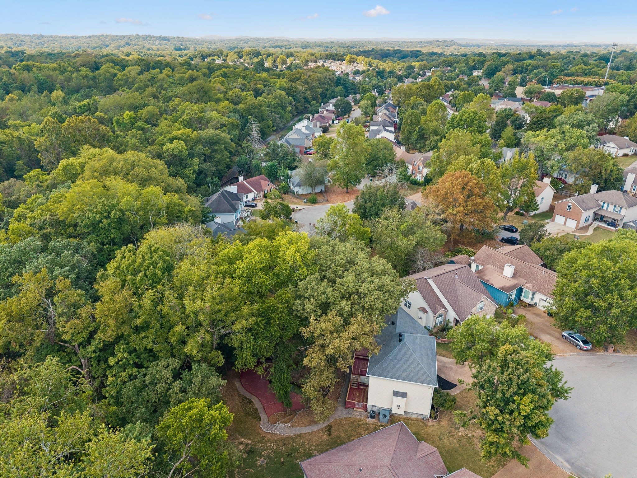 Aerial view of a wooded neighborhood with detached homes and a curving cul-de-sac.
