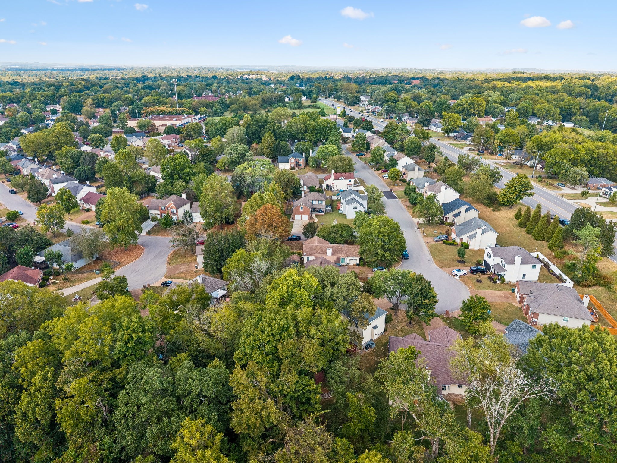 Aerial view of a leafy neighborhood with detached homes and winding streets.