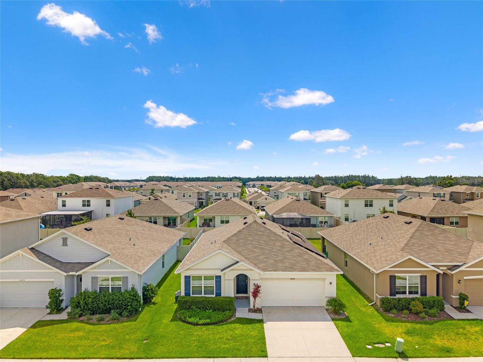 34044 SORREL MINT DR