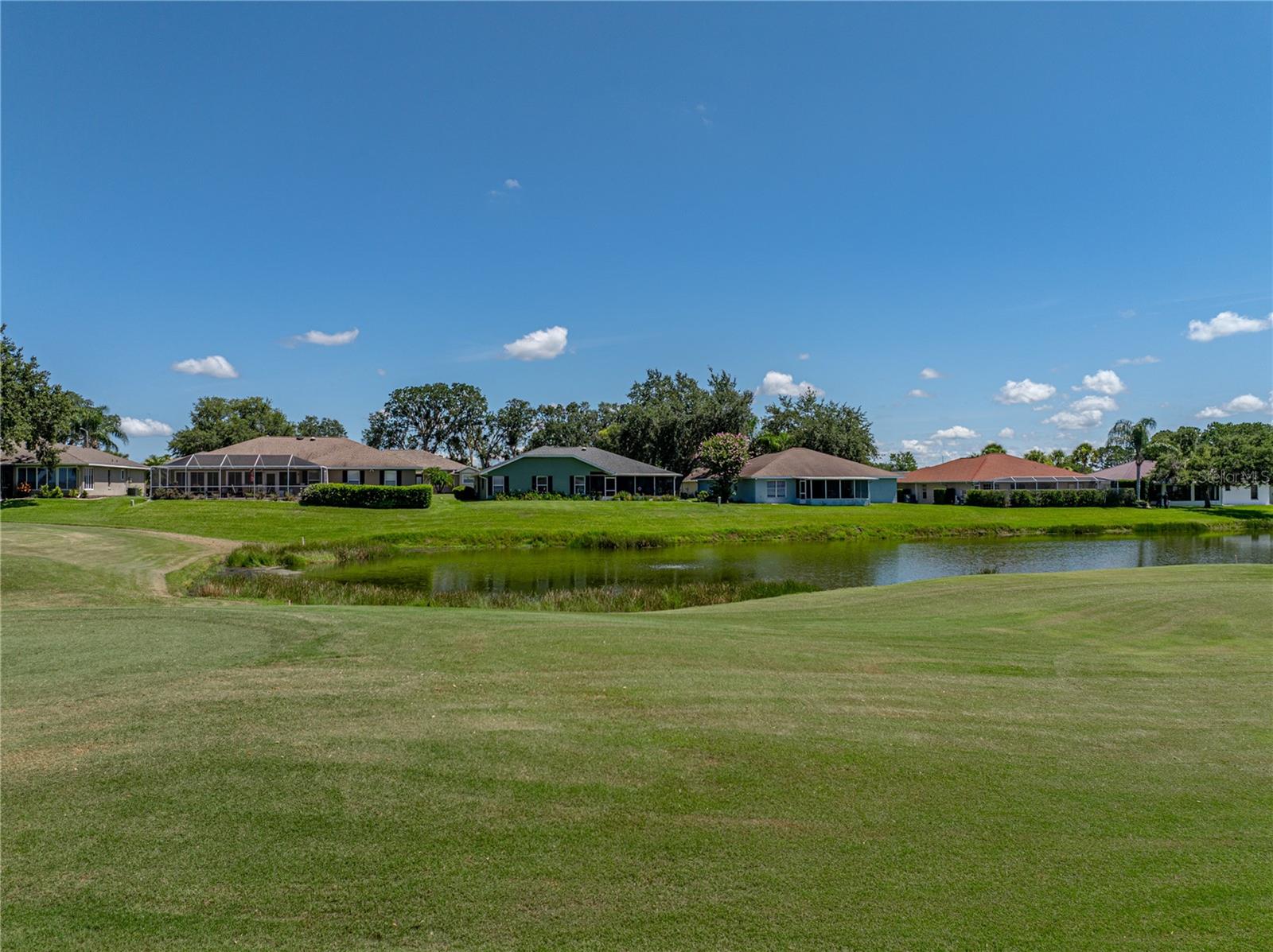 29211 CADDYSHACK LN