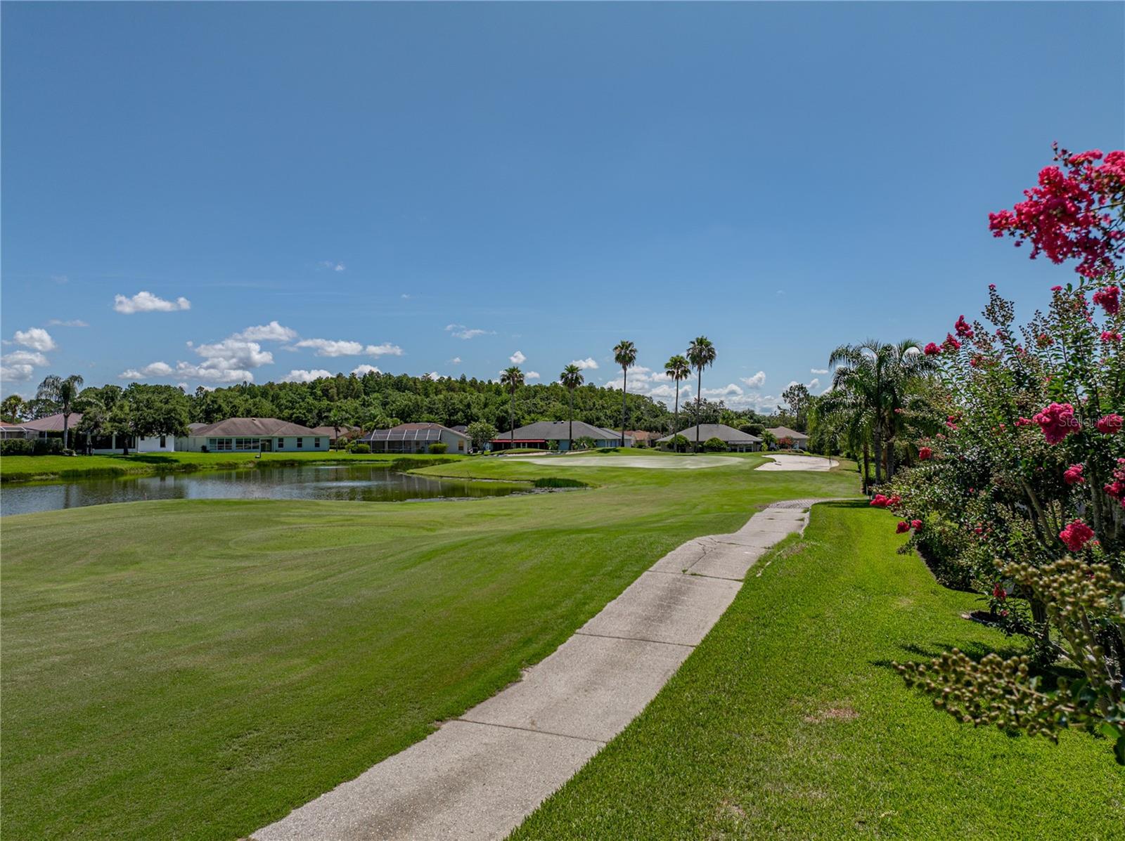 29211 CADDYSHACK LN