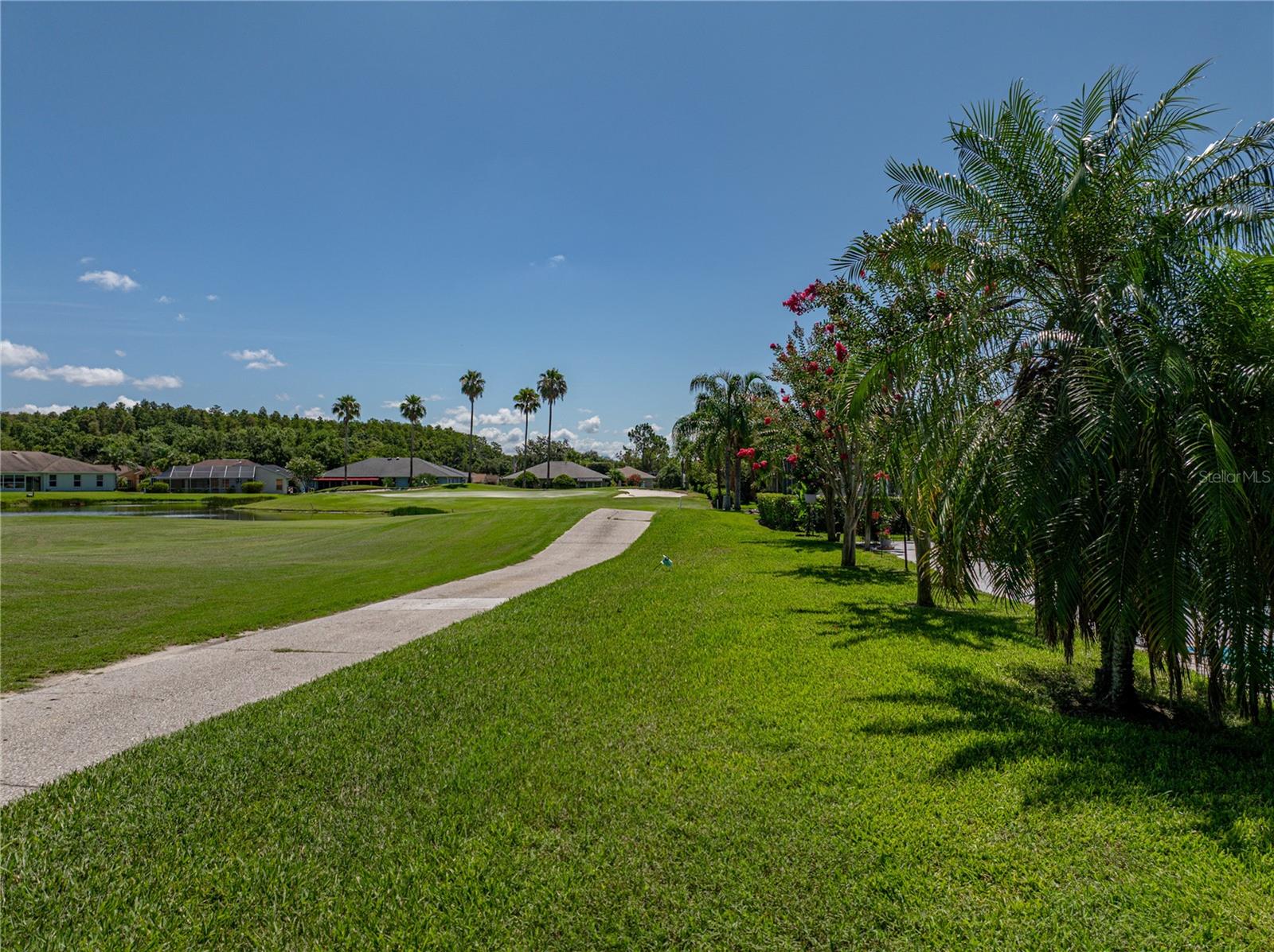 29211 CADDYSHACK LN