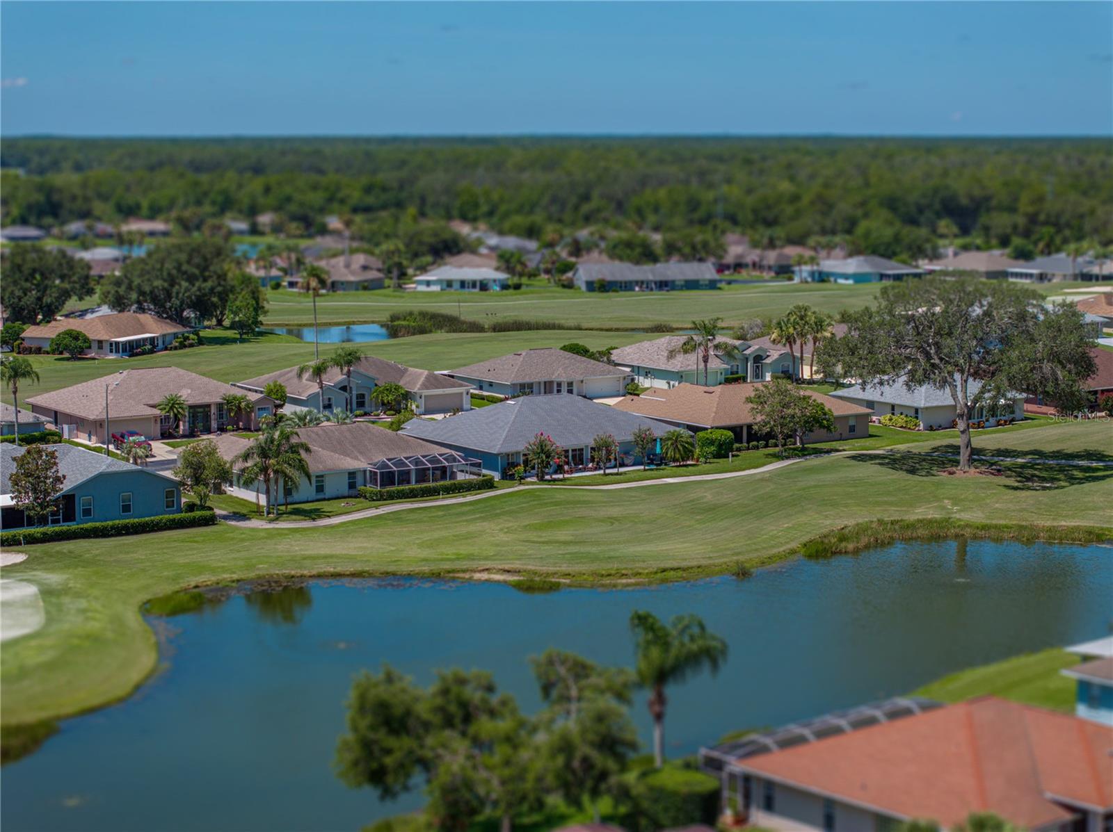 29211 CADDYSHACK LN