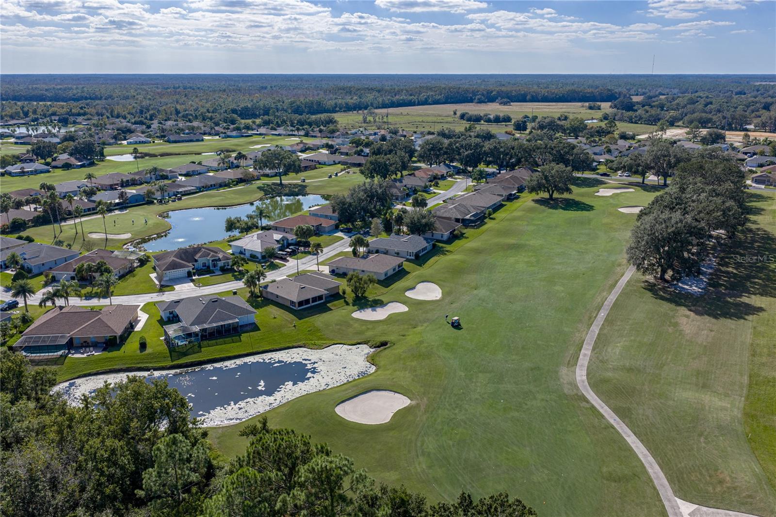 29235 PRINCEVILLE DR