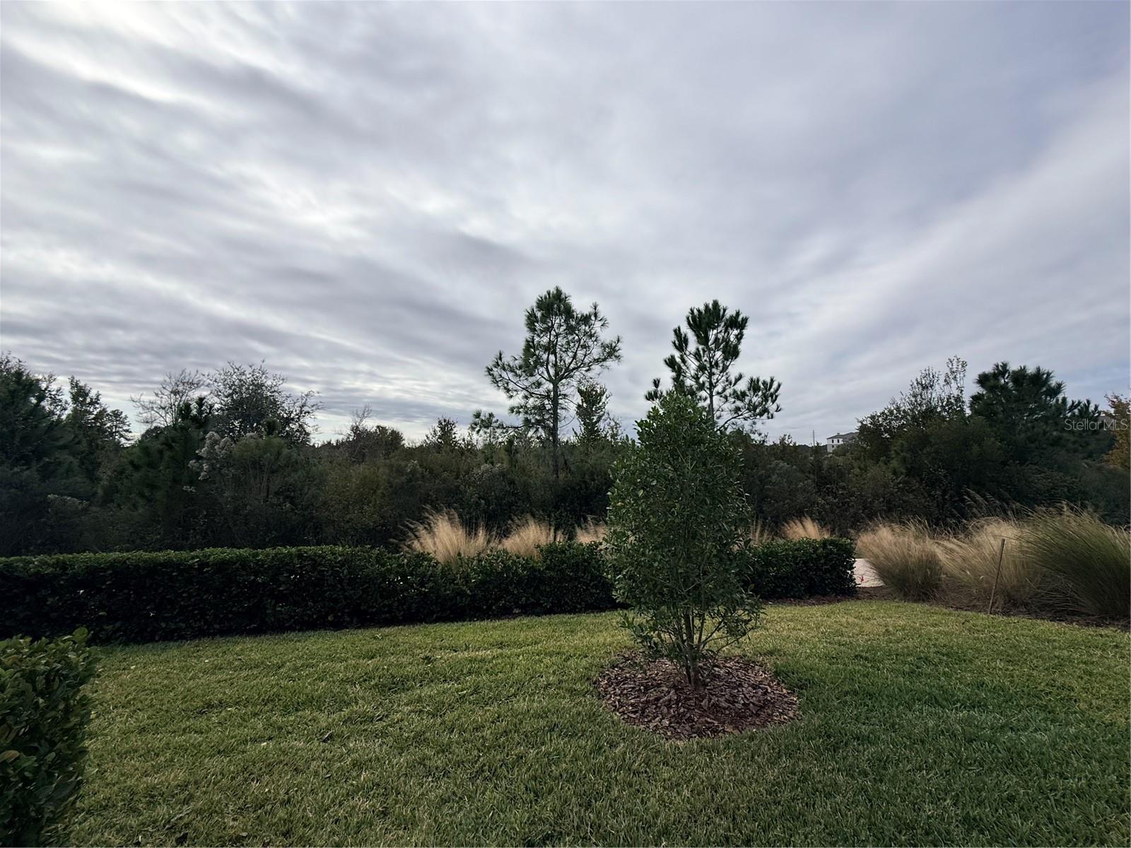 5443 ELMVIEW XING