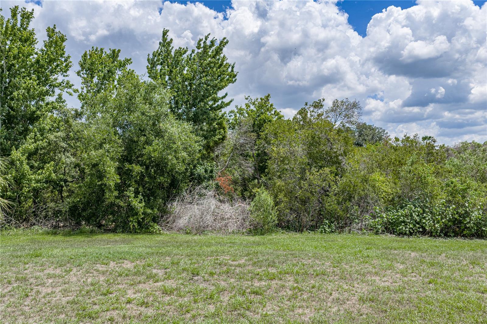9114 MOUNTAIN MAGNOLIA DR