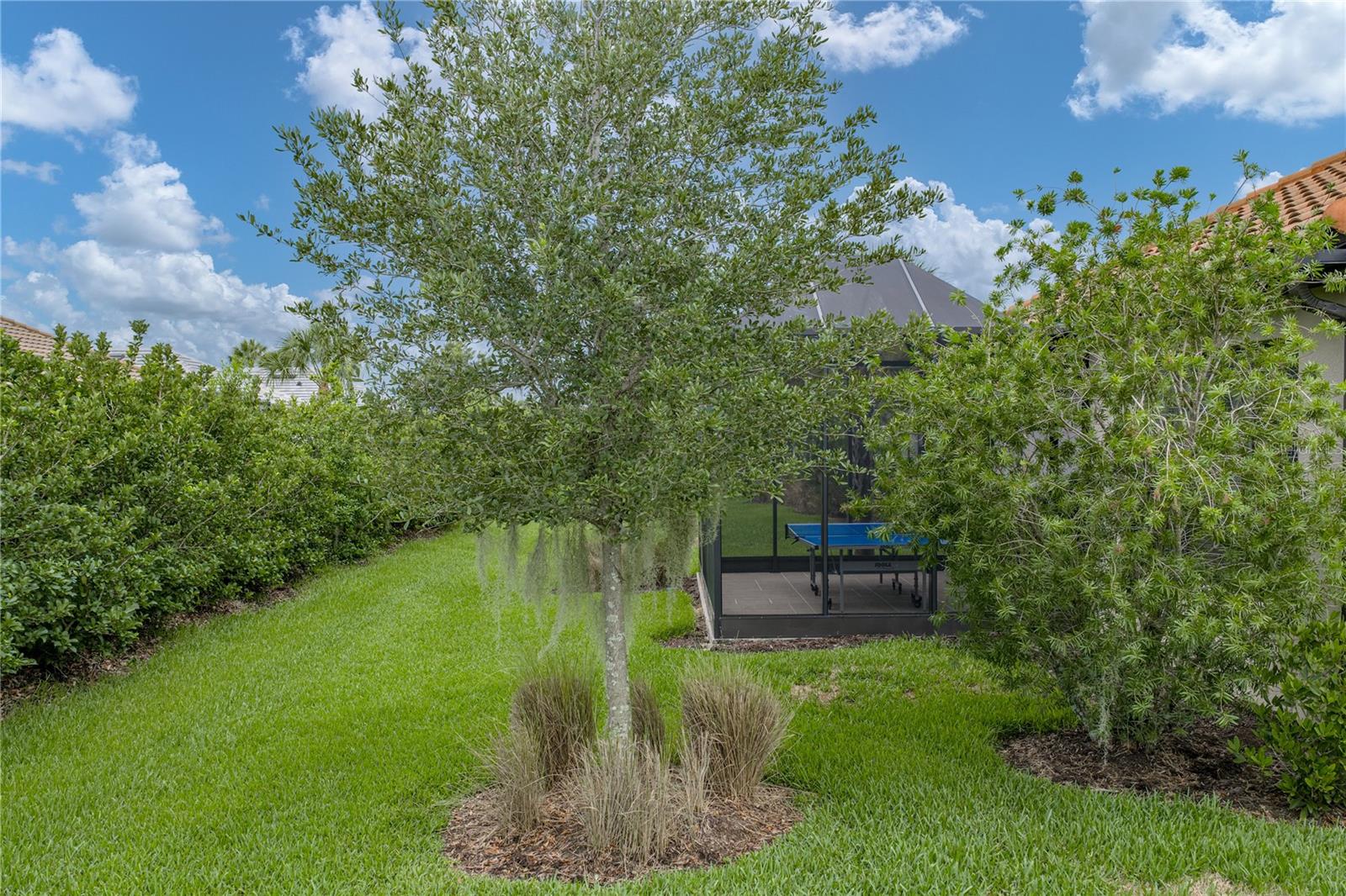 4248 CAIROLI CT