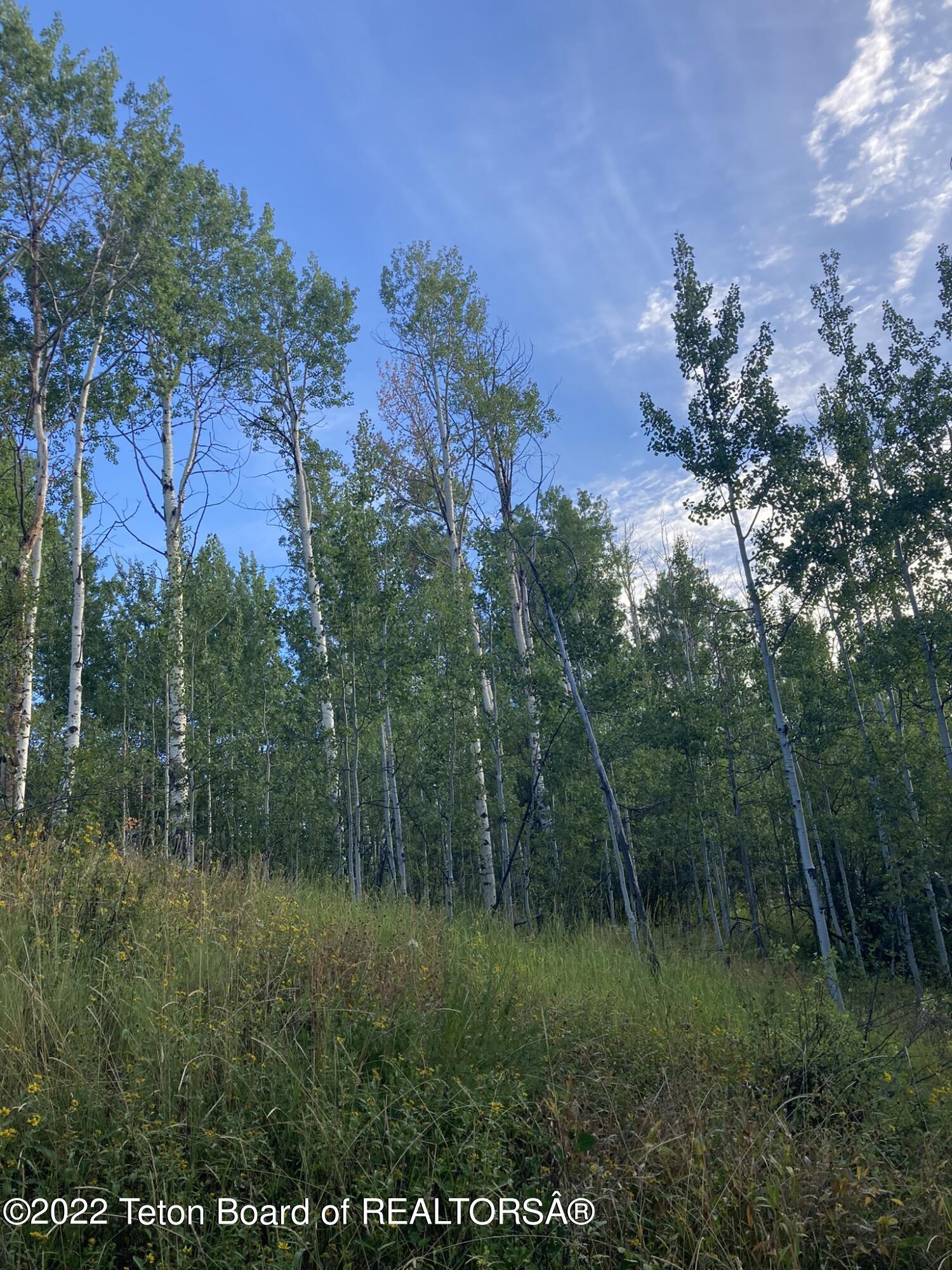 LOT 34 WALNUT DRIVE