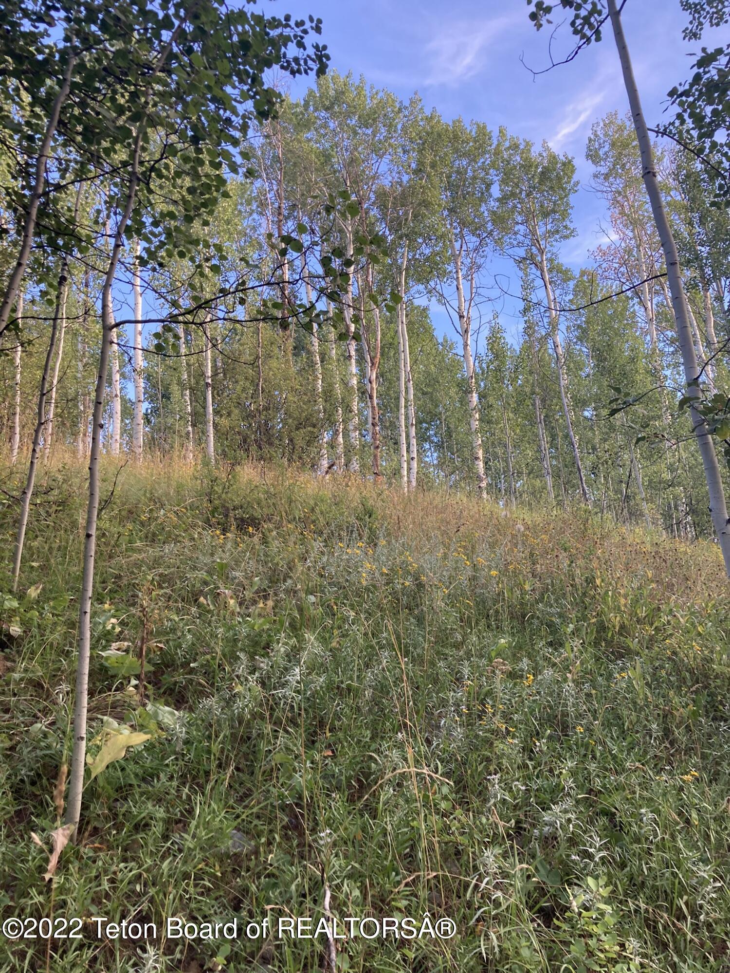 LOT 34 WALNUT DRIVE