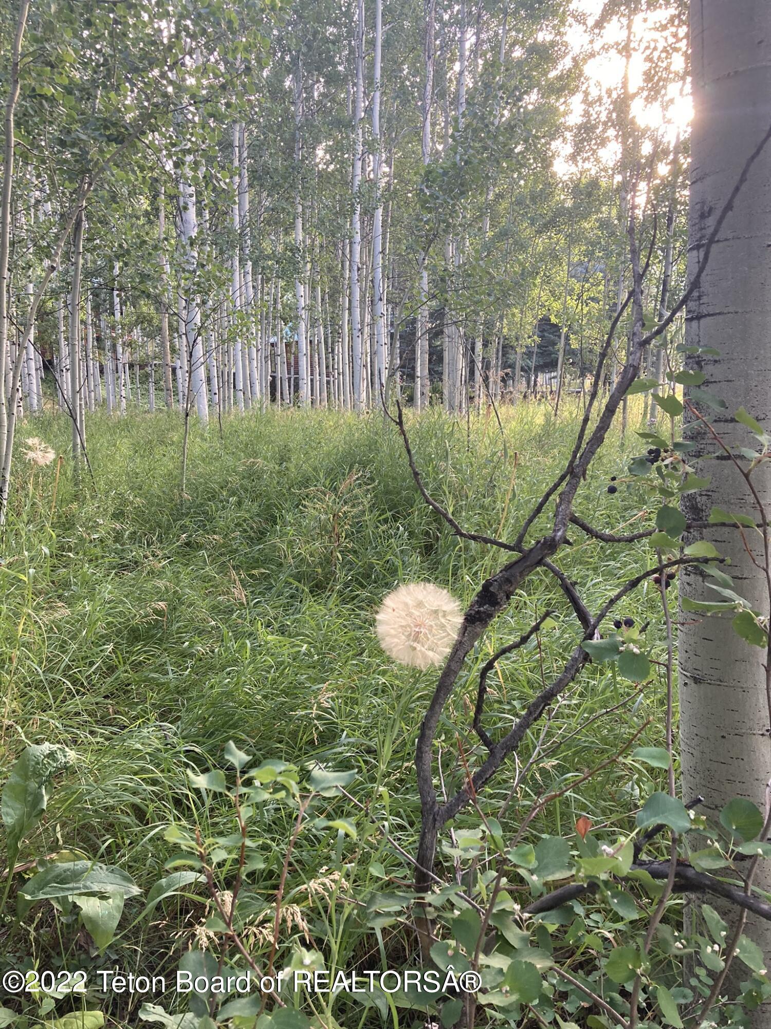 LOT 34 WALNUT DRIVE