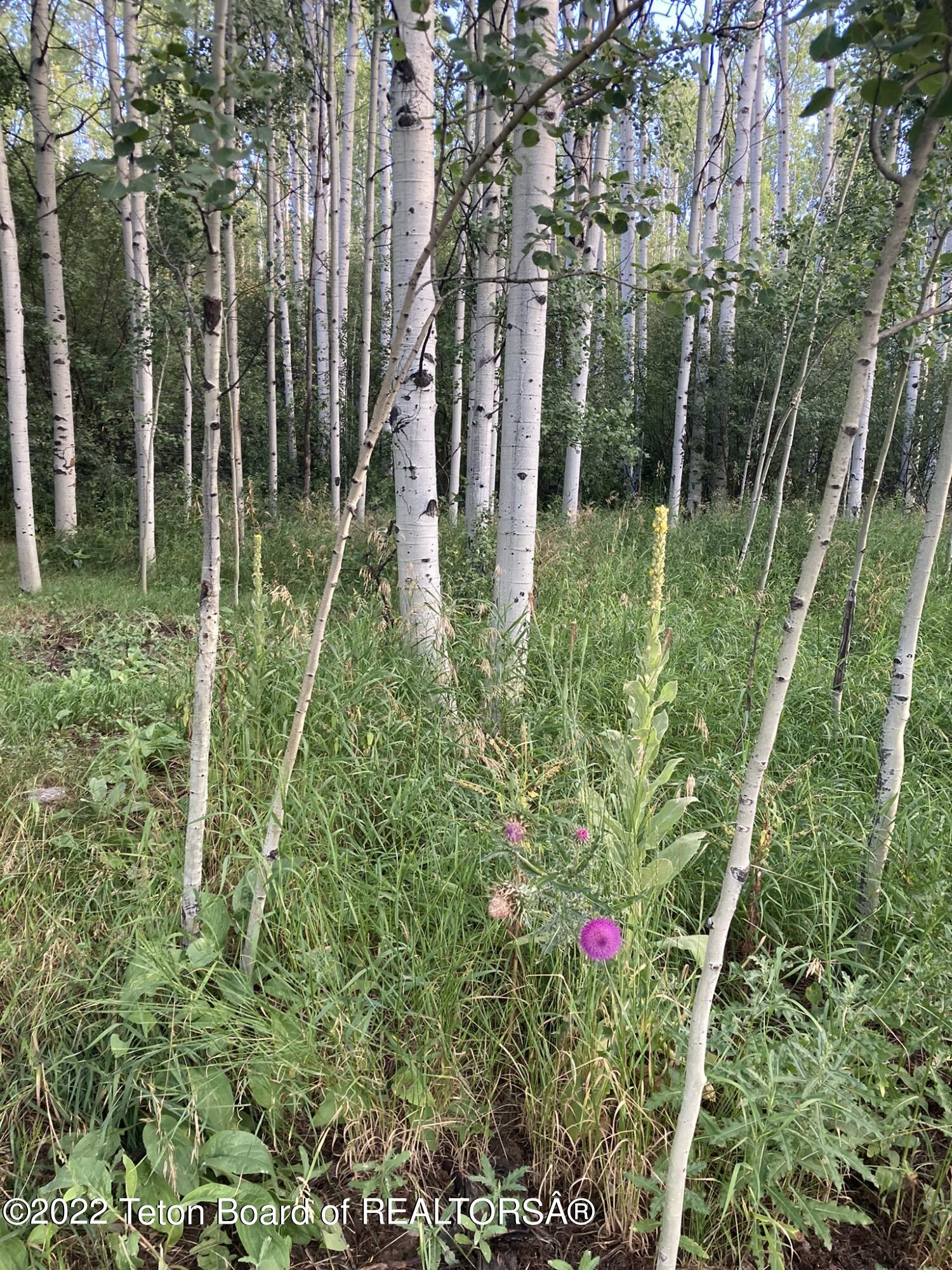 LOT 34 WALNUT DRIVE