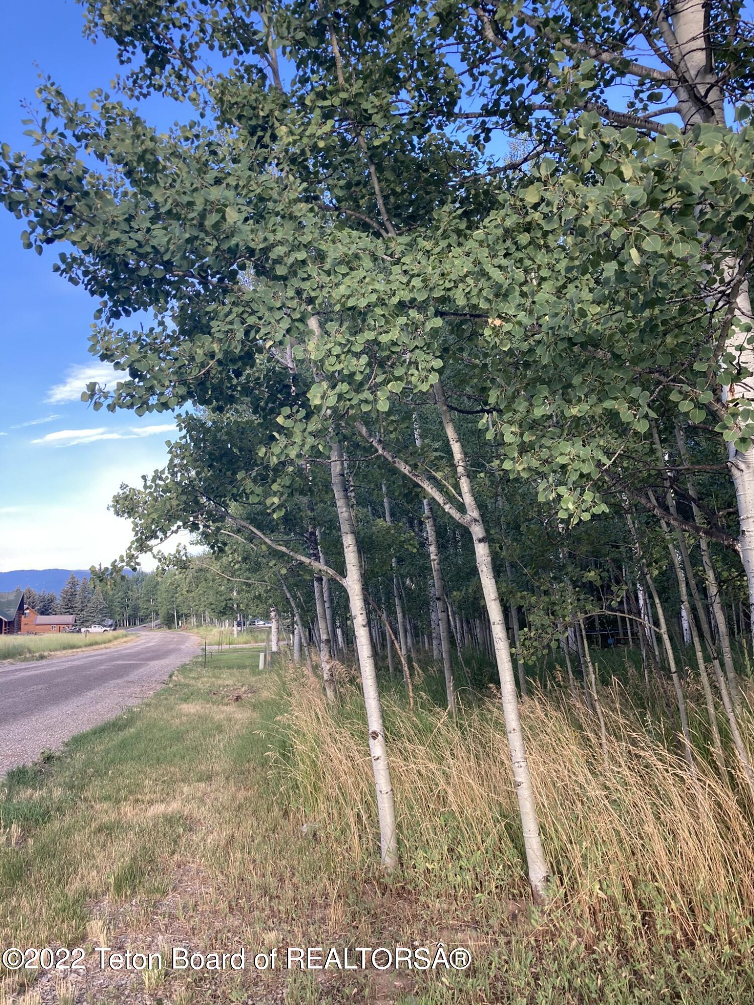 LOT 34 WALNUT DRIVE