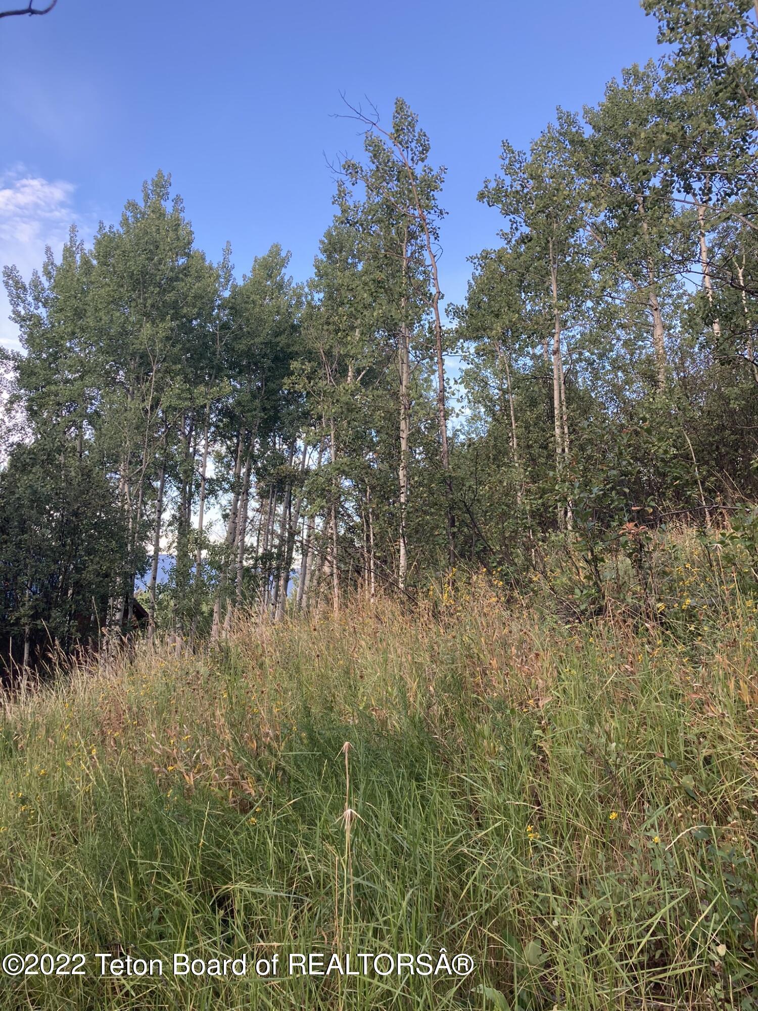 LOT 34 WALNUT DRIVE