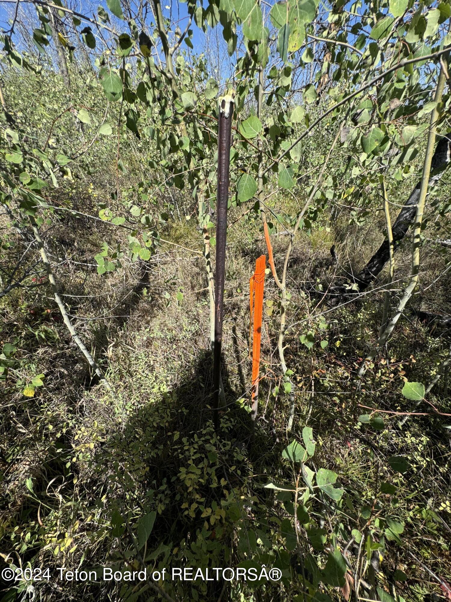 KISMET NEAR MTN VIEW INTERSECT