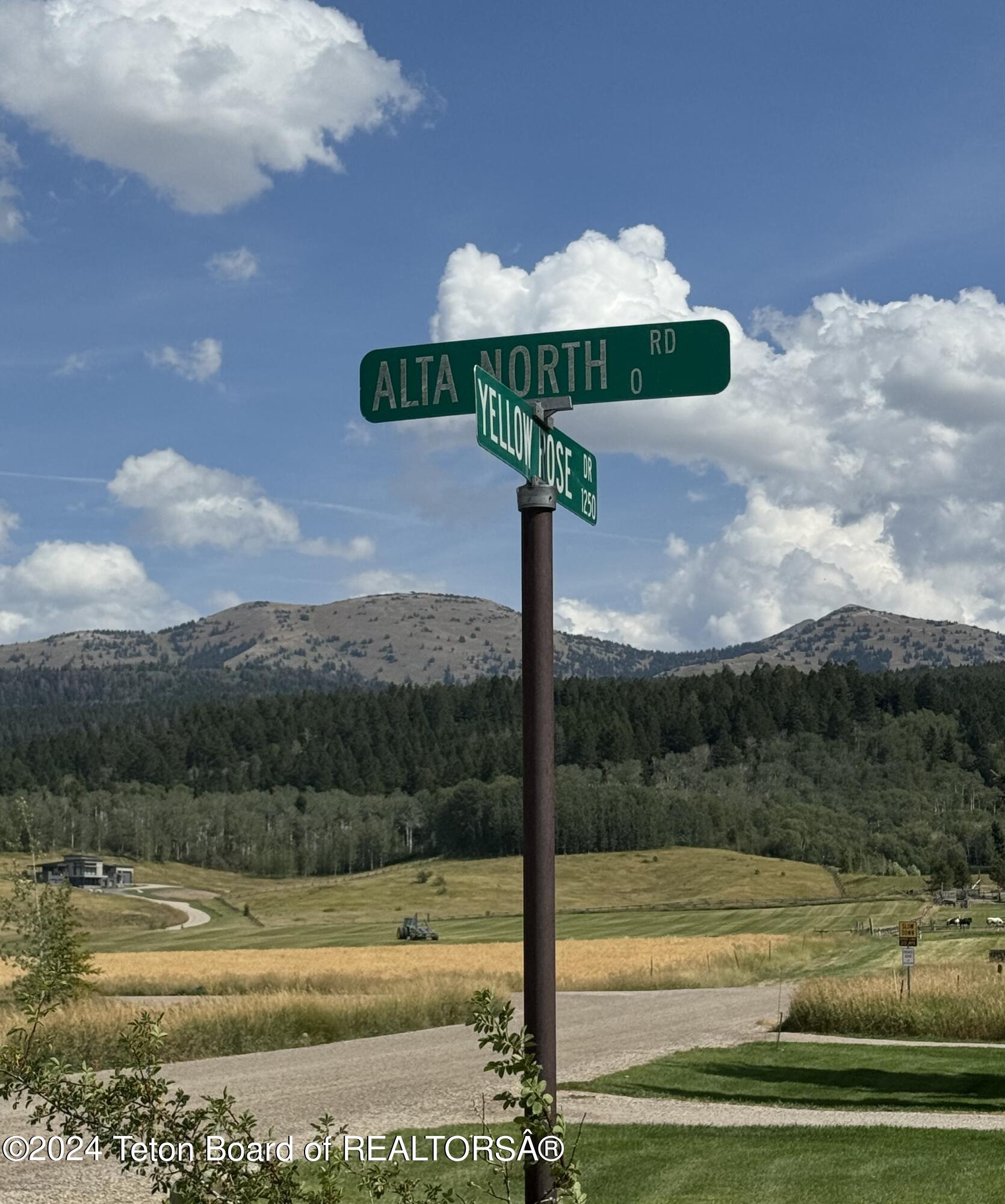155 YELLOW ROSE Drive