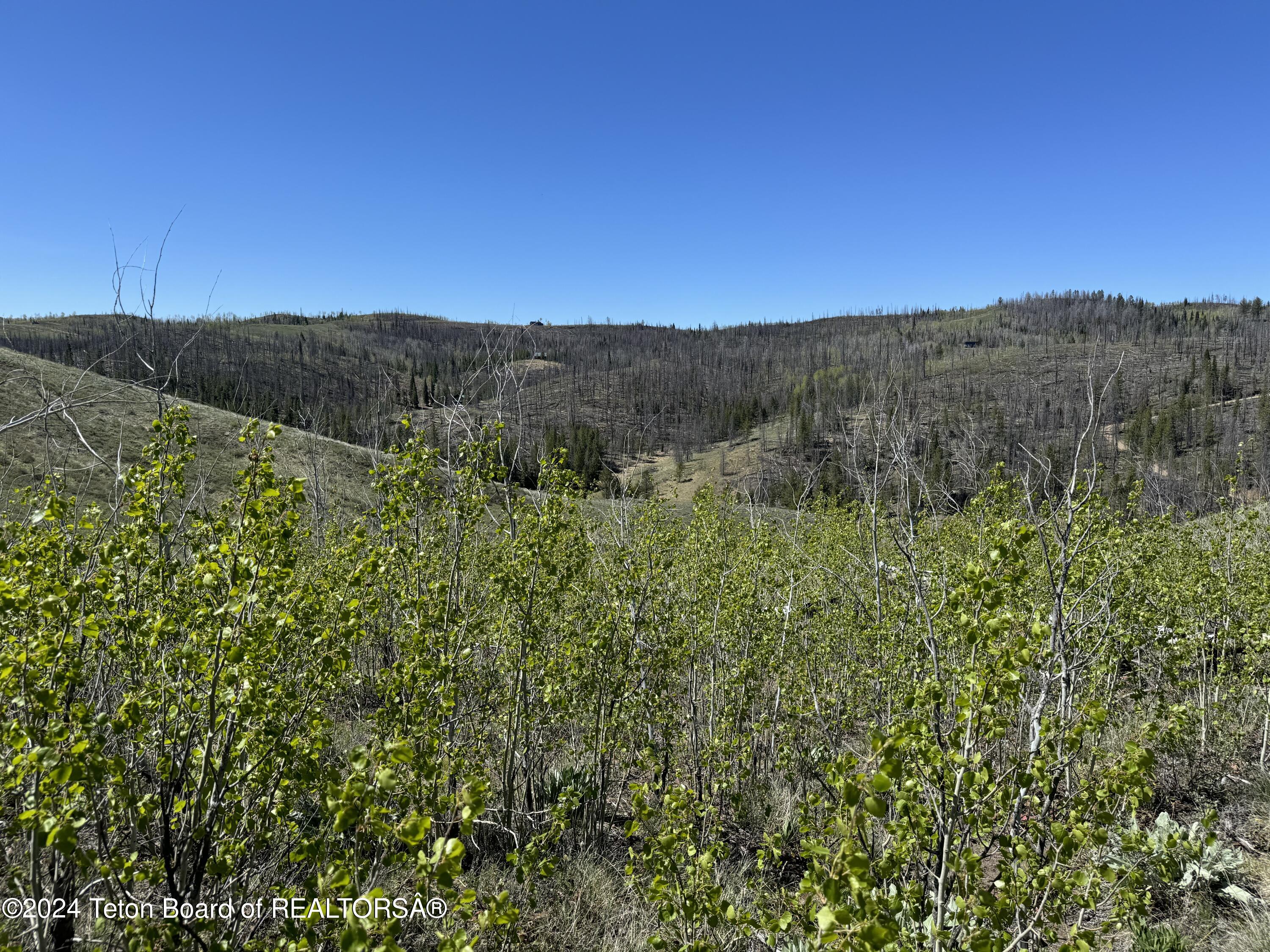 TBD MOUNTAIN VIEW Drive
