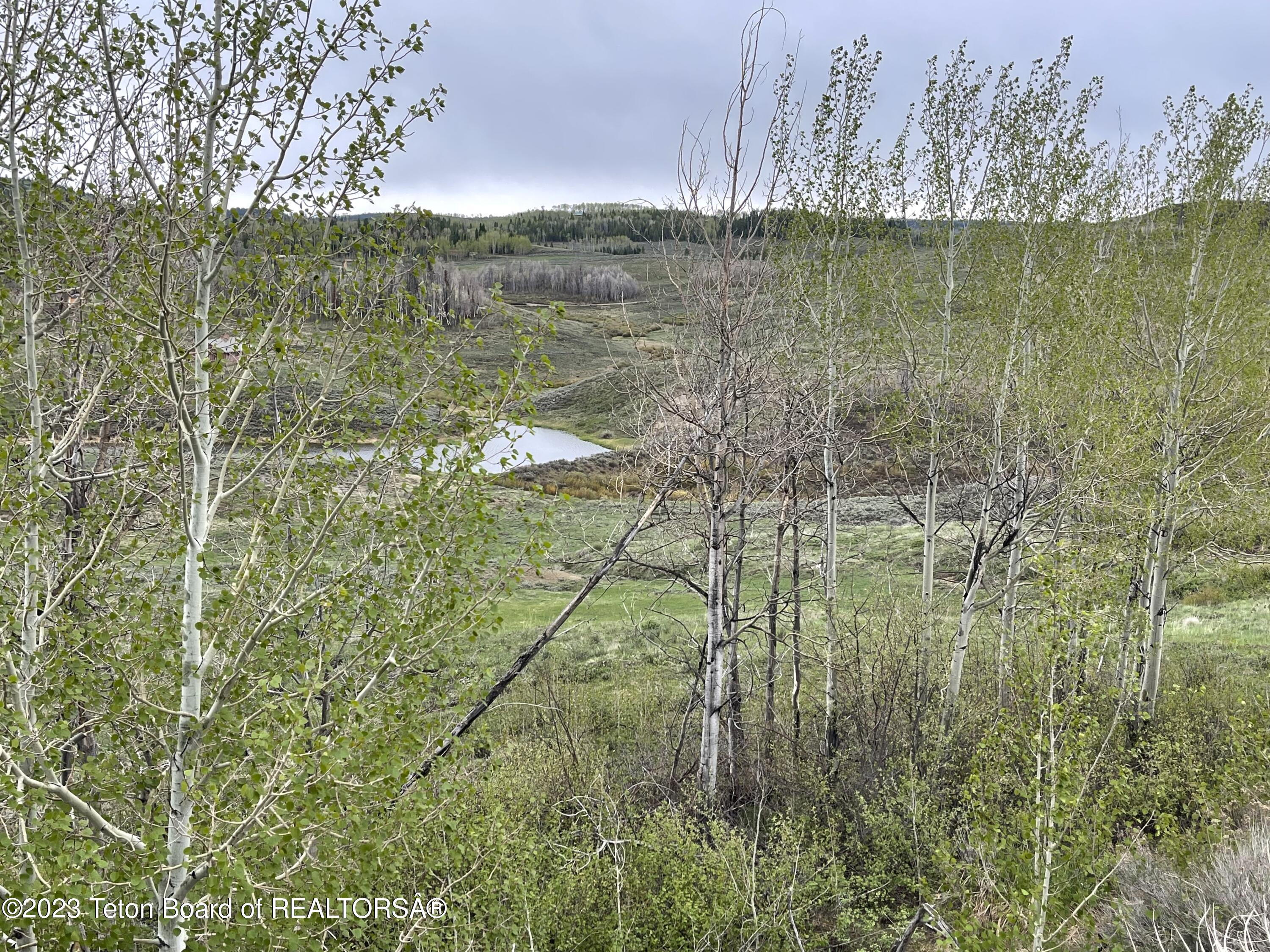 TBD FISHERMAN CREEK / CHIPPEWAUGH Road