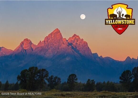 YELLOWSTONE DAY TOURS