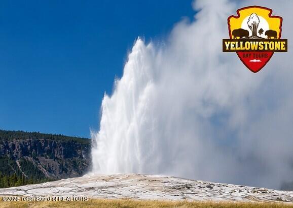 YELLOWSTONE DAY TOURS