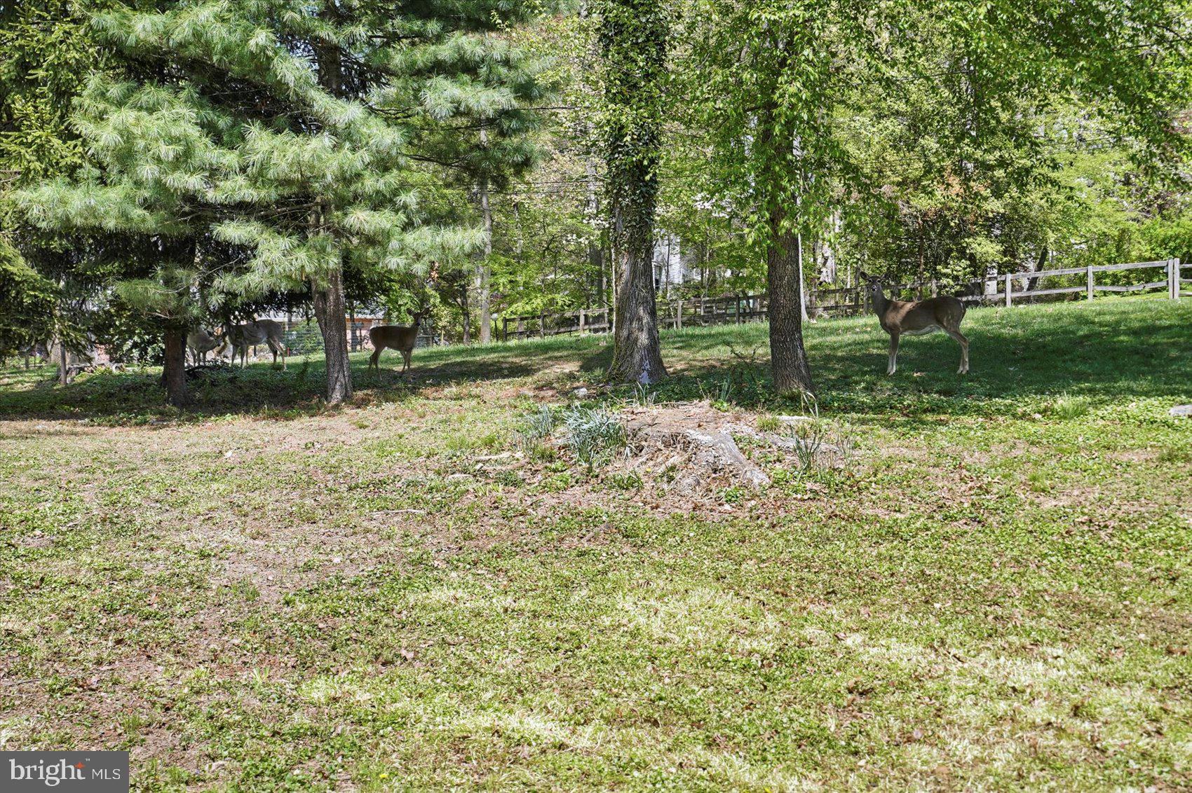 3620 Marriottsville Rd